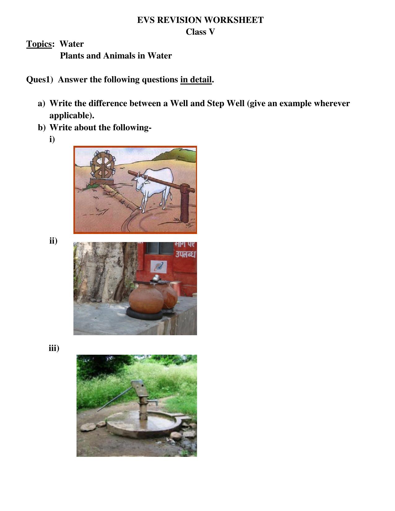 Worksheet for Class 5 Environmental Studies Assignment 4 - Page 1