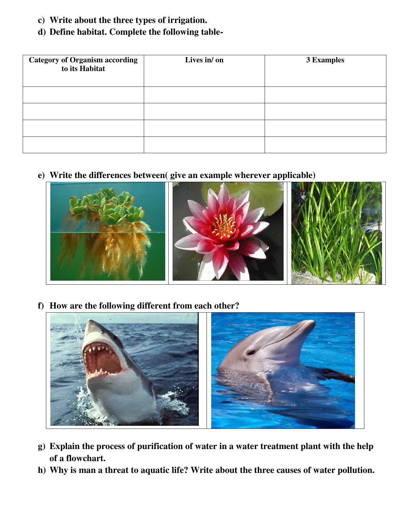 Worksheet for Class 5 Environmental Studies Assignment 4 - Page 2