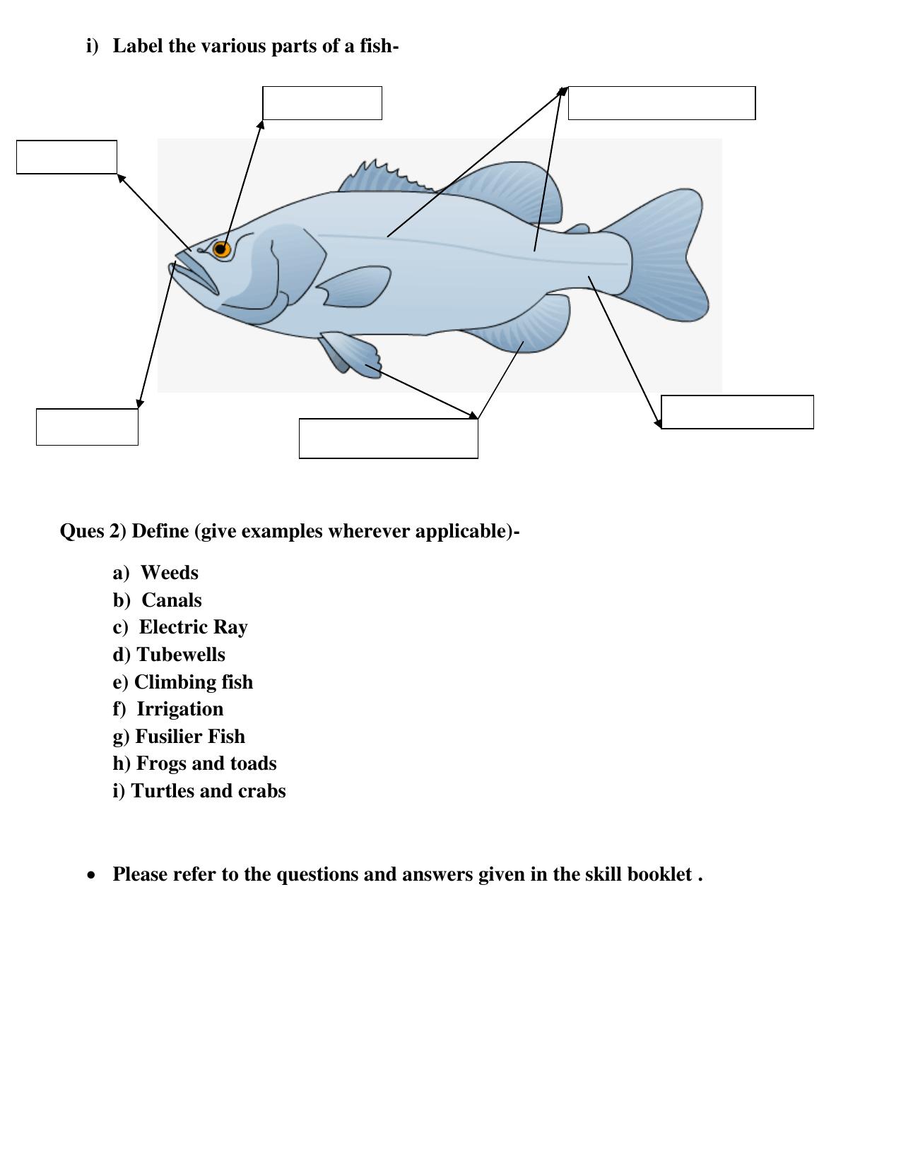 Worksheet for Class 5 Environmental Studies Assignment 4 - Page 3