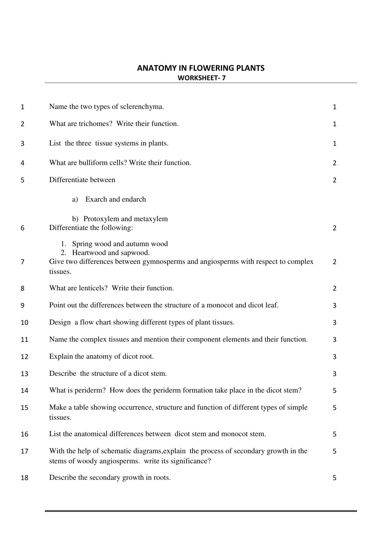 CBSE Worksheets for Class 11 Biology Anatomy in Flowering Plants Assignment - Page 1