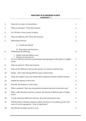 CBSE Worksheets for Class 11 Biology Anatomy in Flowering Plants Assignment