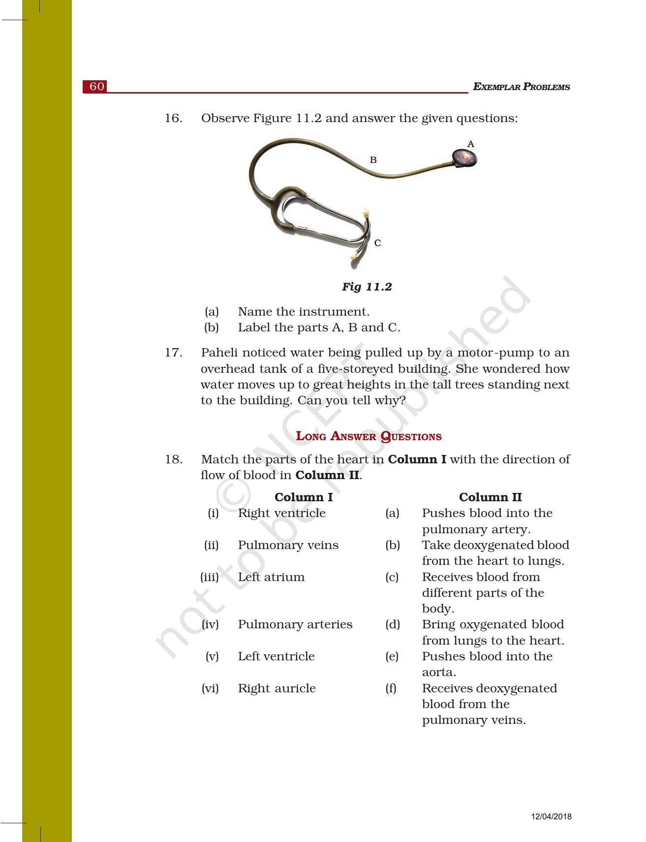 NCERT Exemplar Book for Class 7 Science: Chapter 11-Transportation in Animals and Plants - Page 4