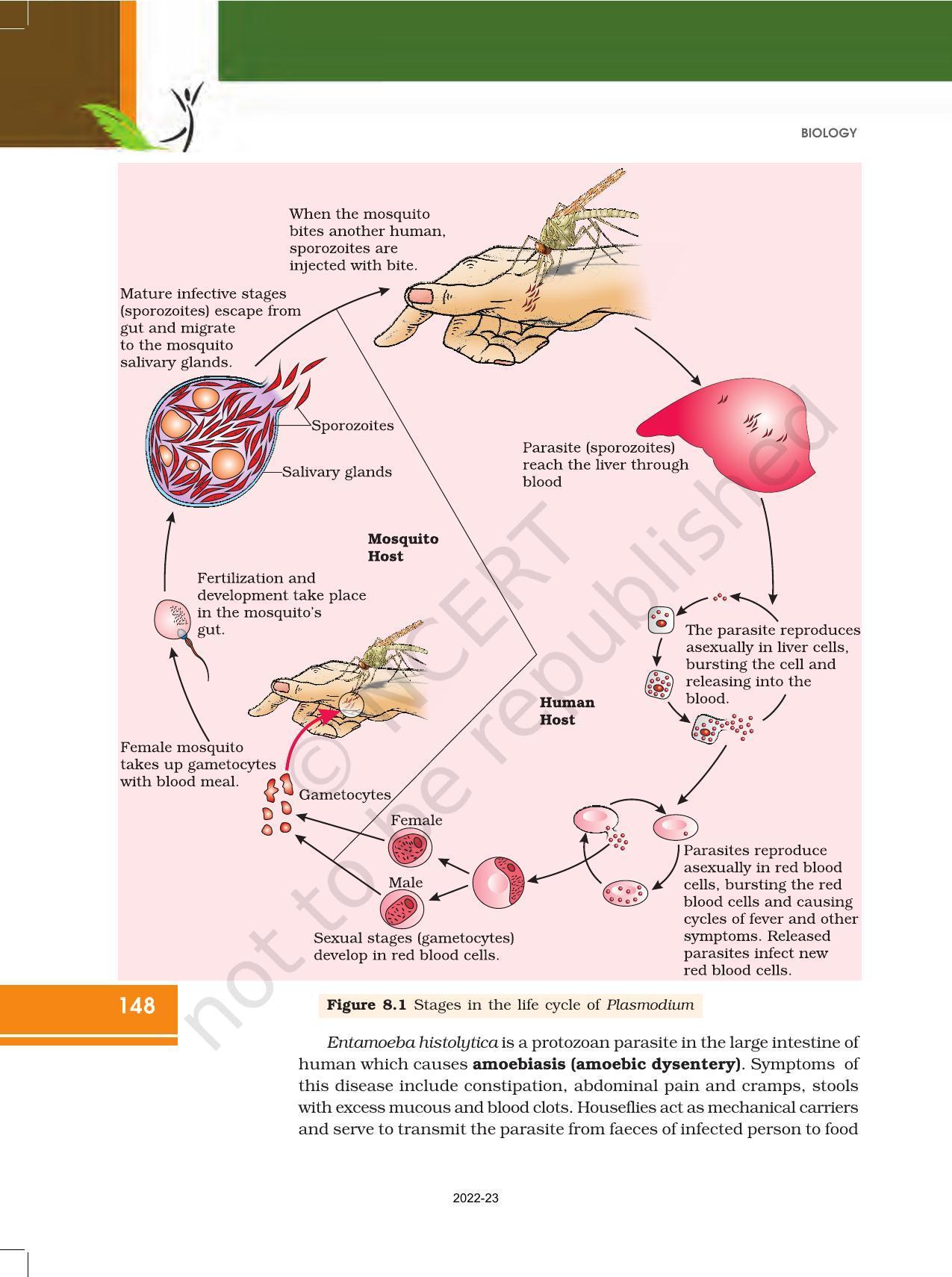 NCERT Book for Class 12 Biology Chapter 8 Human Health and Disease - Page 6