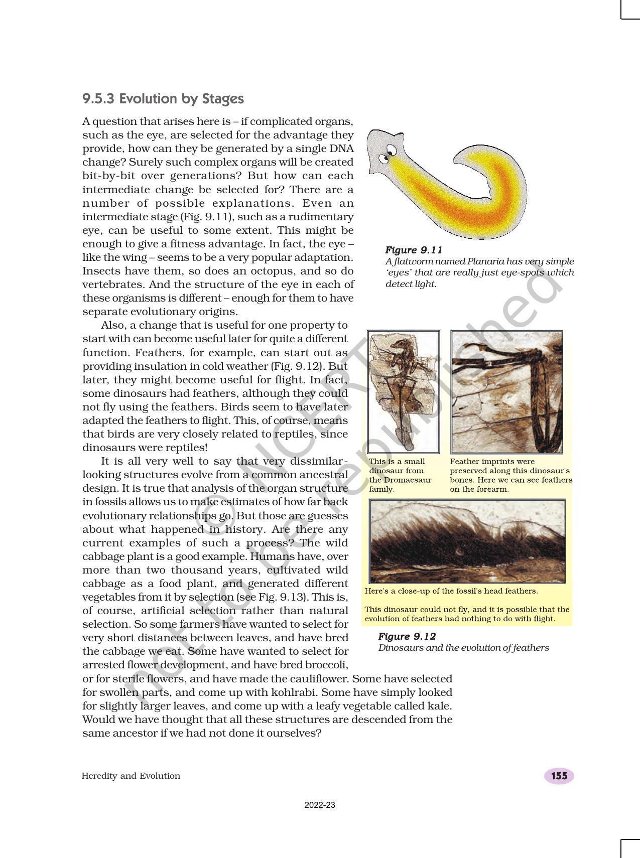 NCERT Book for Class 10 Science Chapter 9 Heredity and Evolution - Page 14