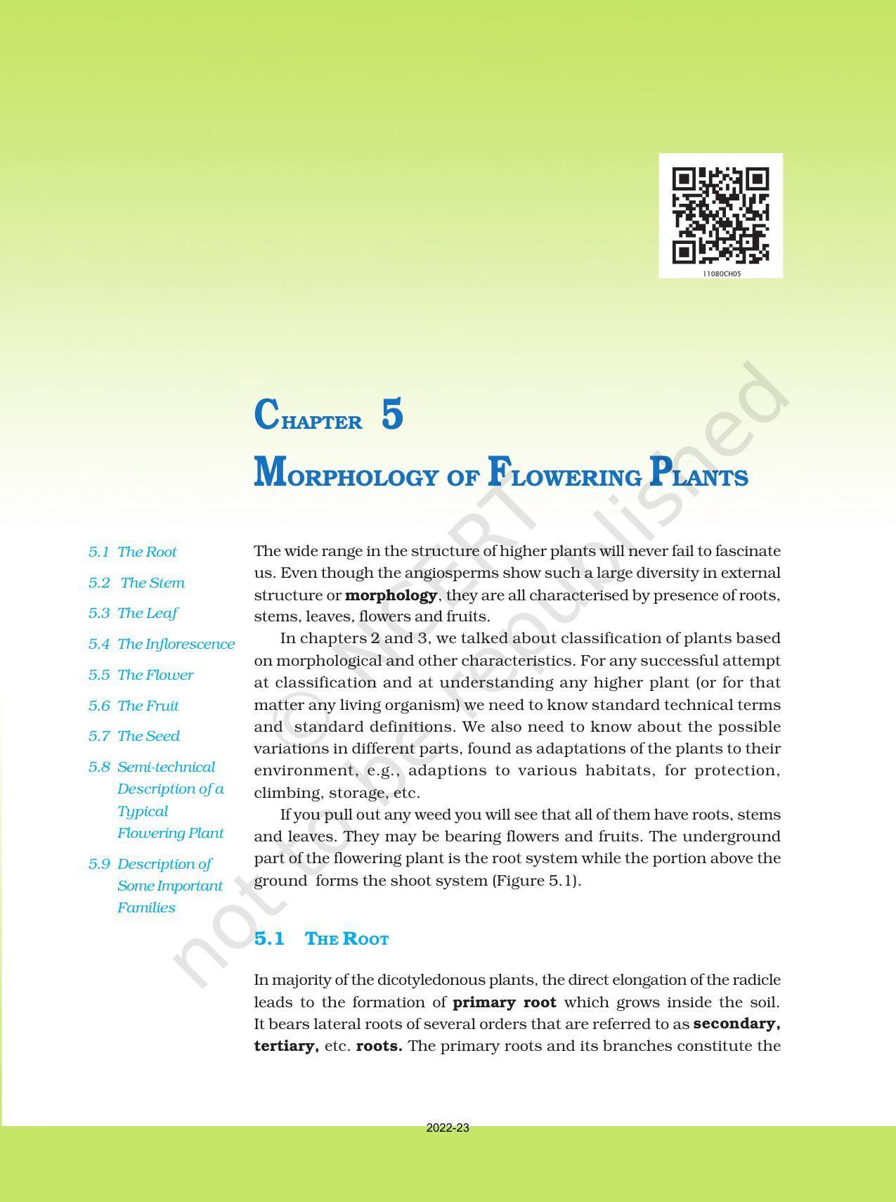 NCERT Book For Class 11 Biology Chapter 5 Morphology