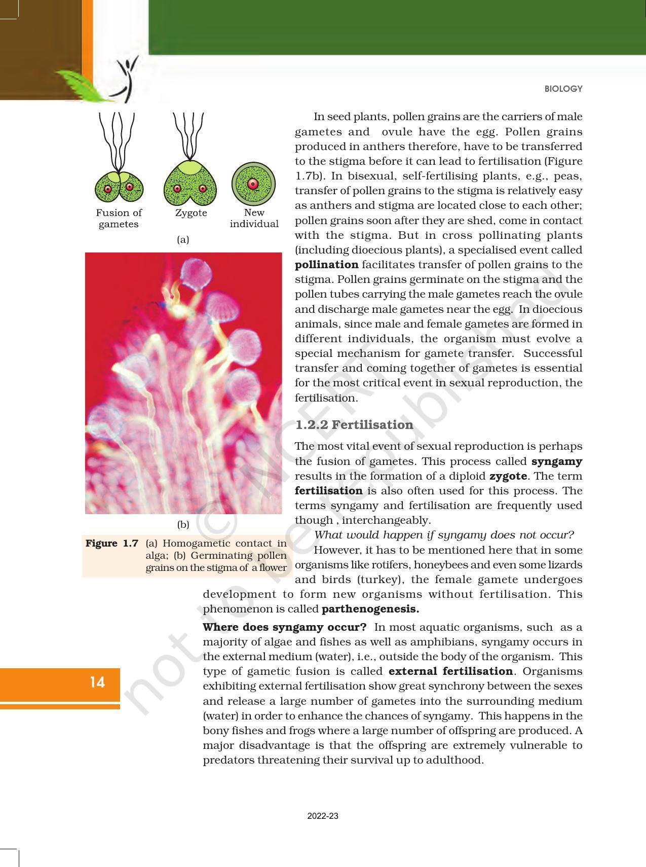 Ncert Book For Class 12 Biology Chapter 1 Reproduction In Organisms