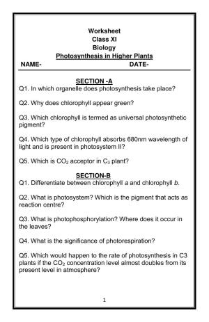 CBSE Worksheets for Class 11 Biology Photosynthesis in Higher Plants Assignment