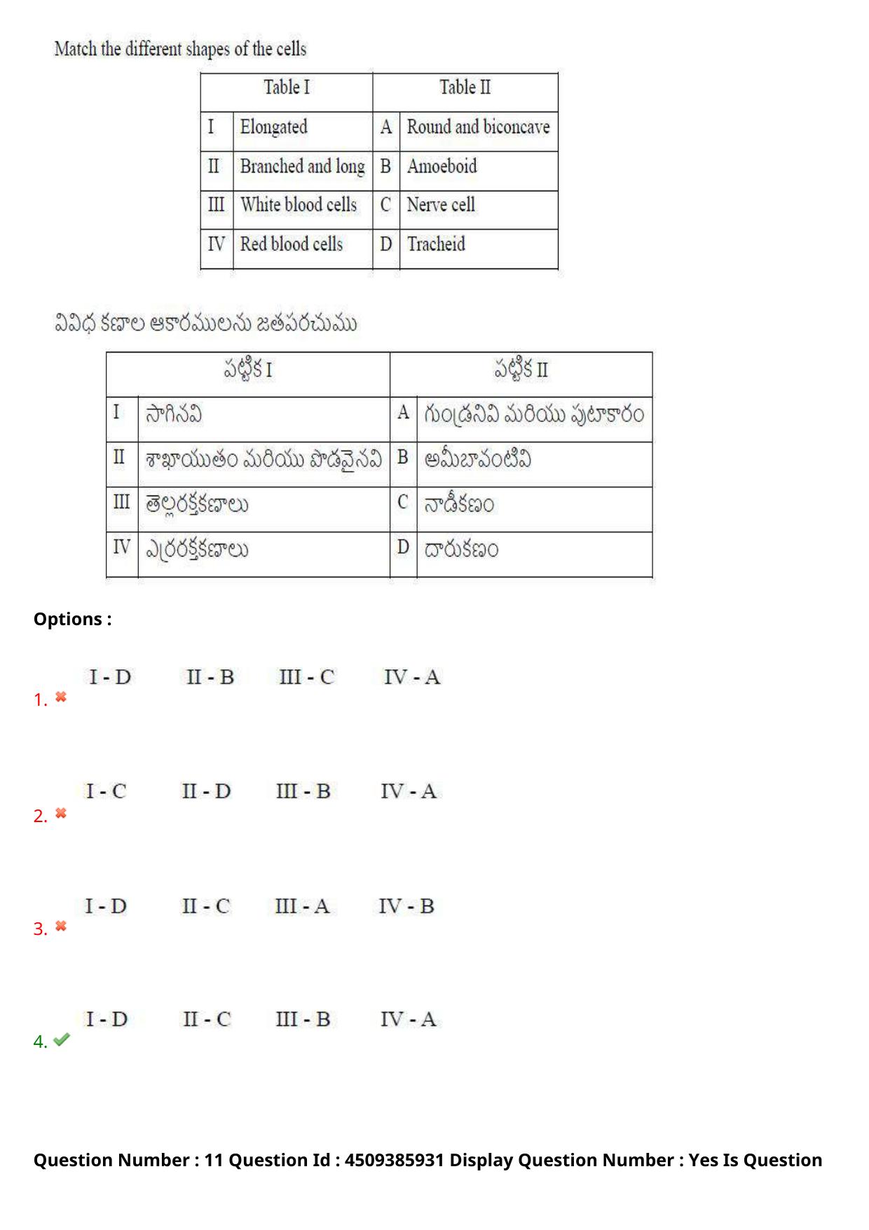 AP EAPCET 2024 - 17 May 2024 Forenoon - Master Agriculture & Pharmacy Question Paper With Preliminary Keys - Page 12