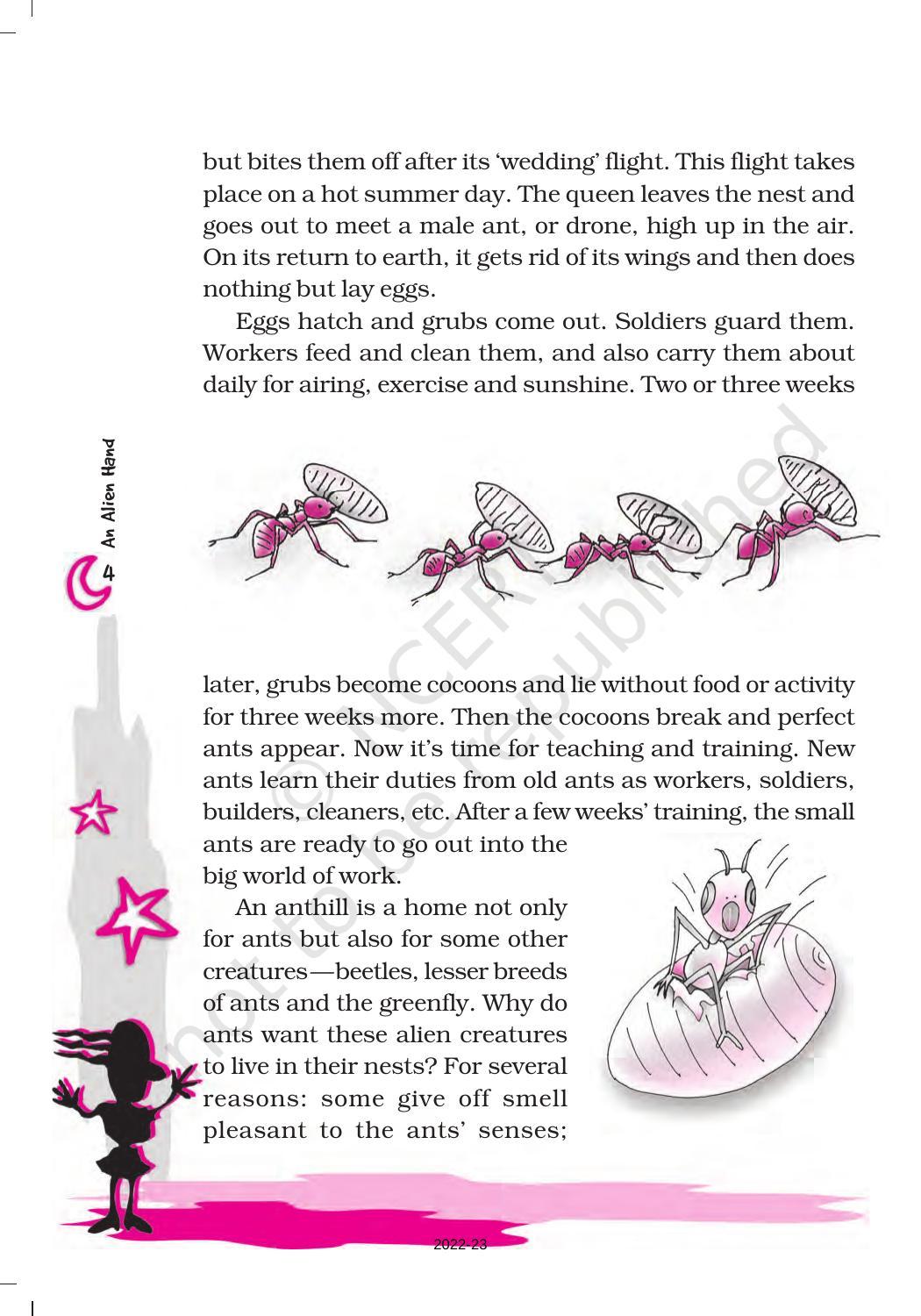 NCERT Book For Class 7 English (An Alien Hand): Chapter 1-The Tiny ...