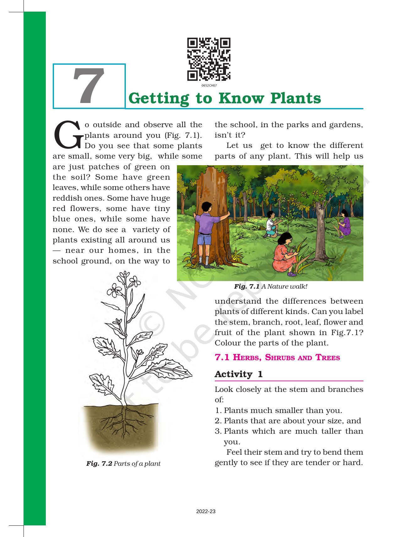 NCERT Book For Class 6 Science: Chapter 7-Getting To Know Plants ...