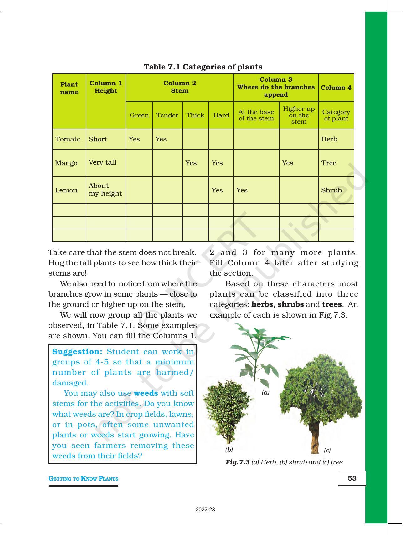 NCERT Book For Class 6 Science: Chapter 7-Getting To Know Plants ...