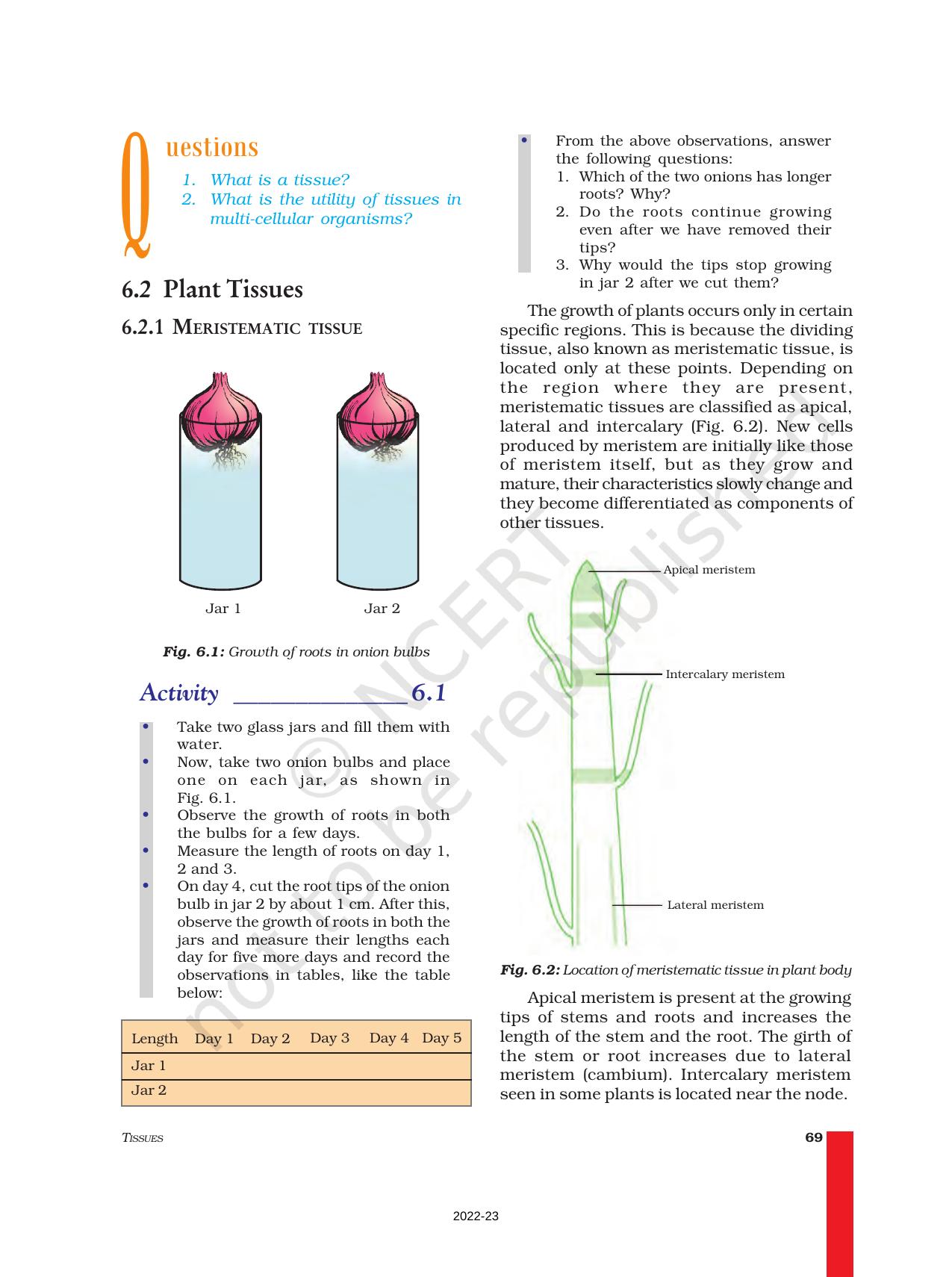 NCERT Book for Class 9 Science Chapter 6 Tissues - Page 2