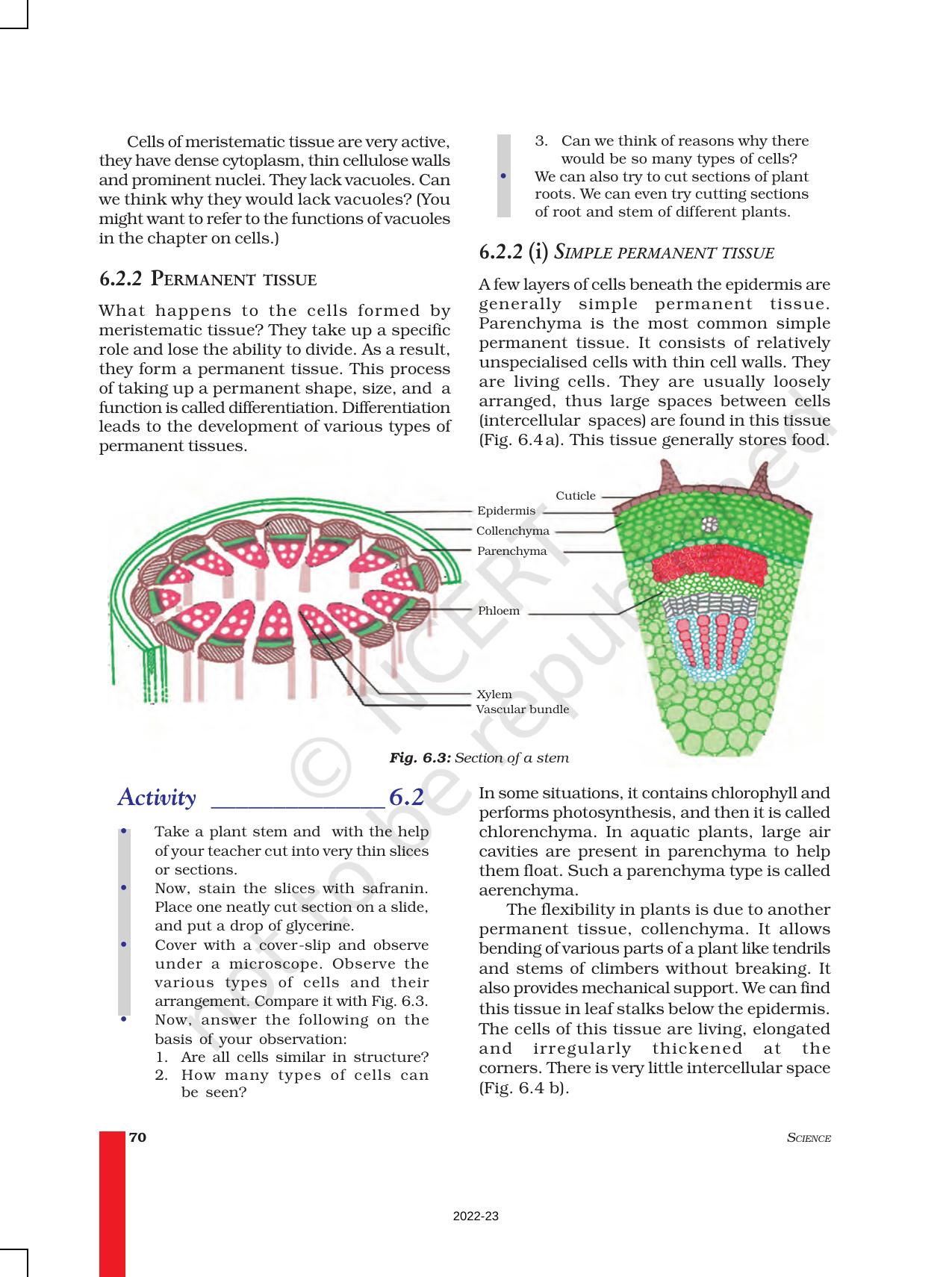 NCERT Book for Class 9 Science Chapter 6 Tissues - Page 3