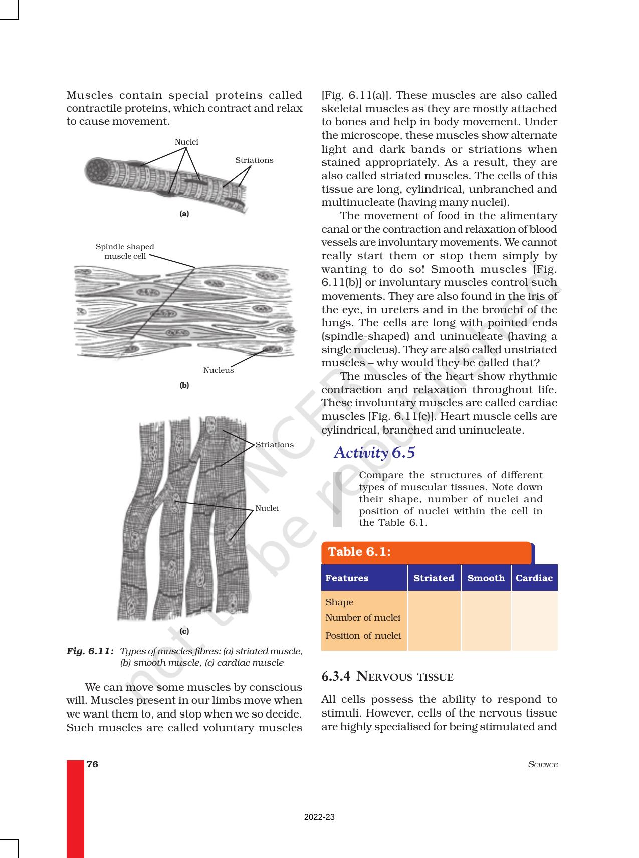 NCERT Book for Class 9 Science Chapter 6 Tissues - Page 9