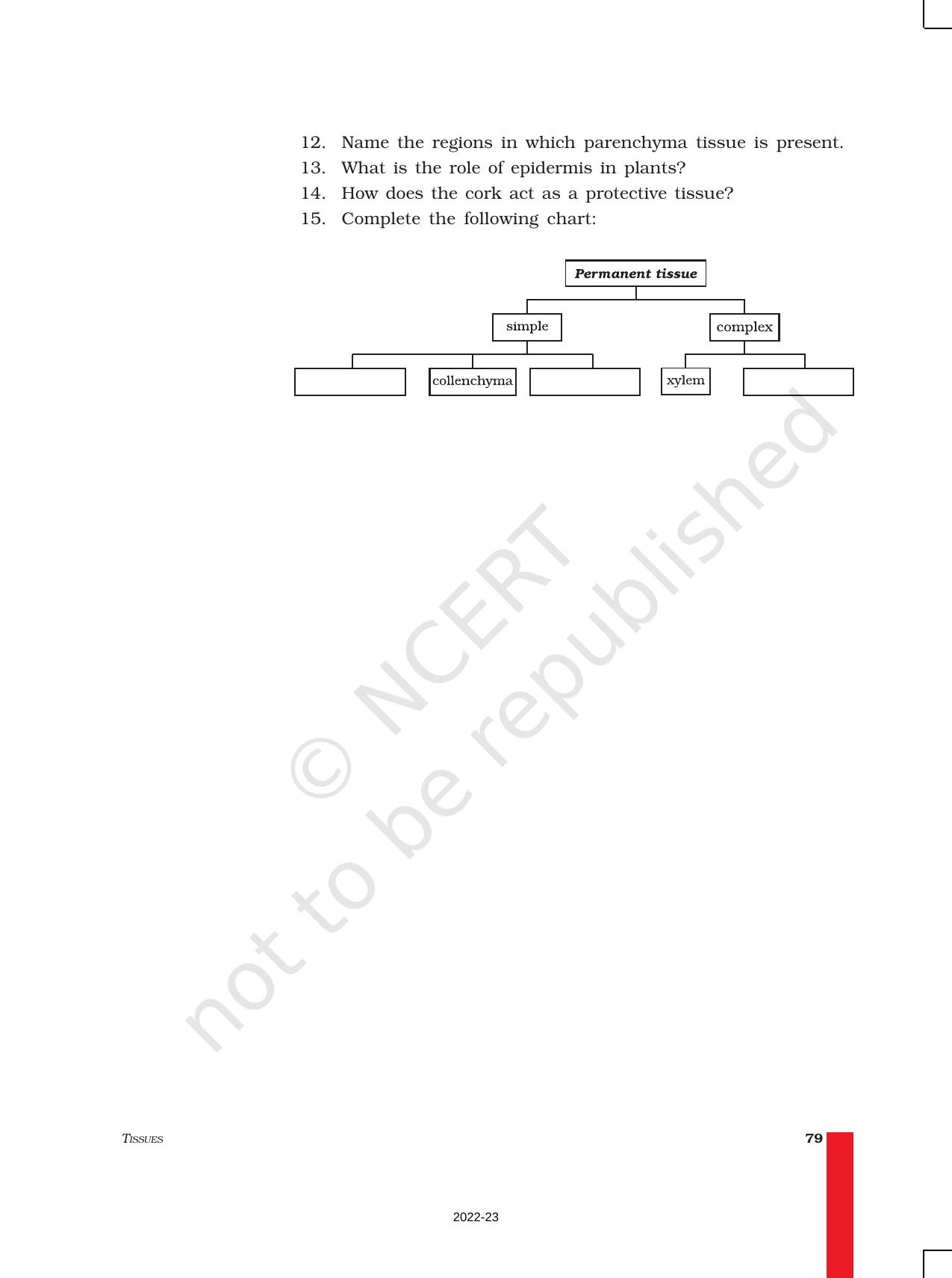 NCERT Book for Class 9 Science Chapter 6 Tissues - Page 12