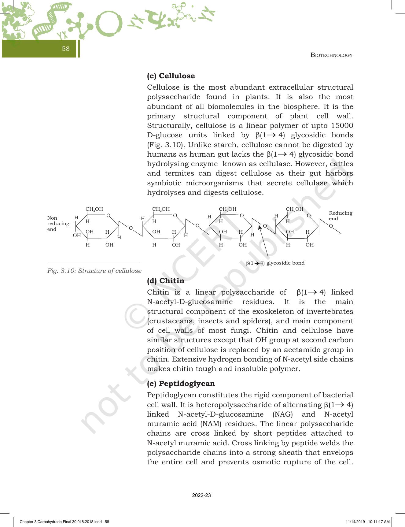 NCERT Book For Class 11 Biotechnology Chapter 3 Biomolecules