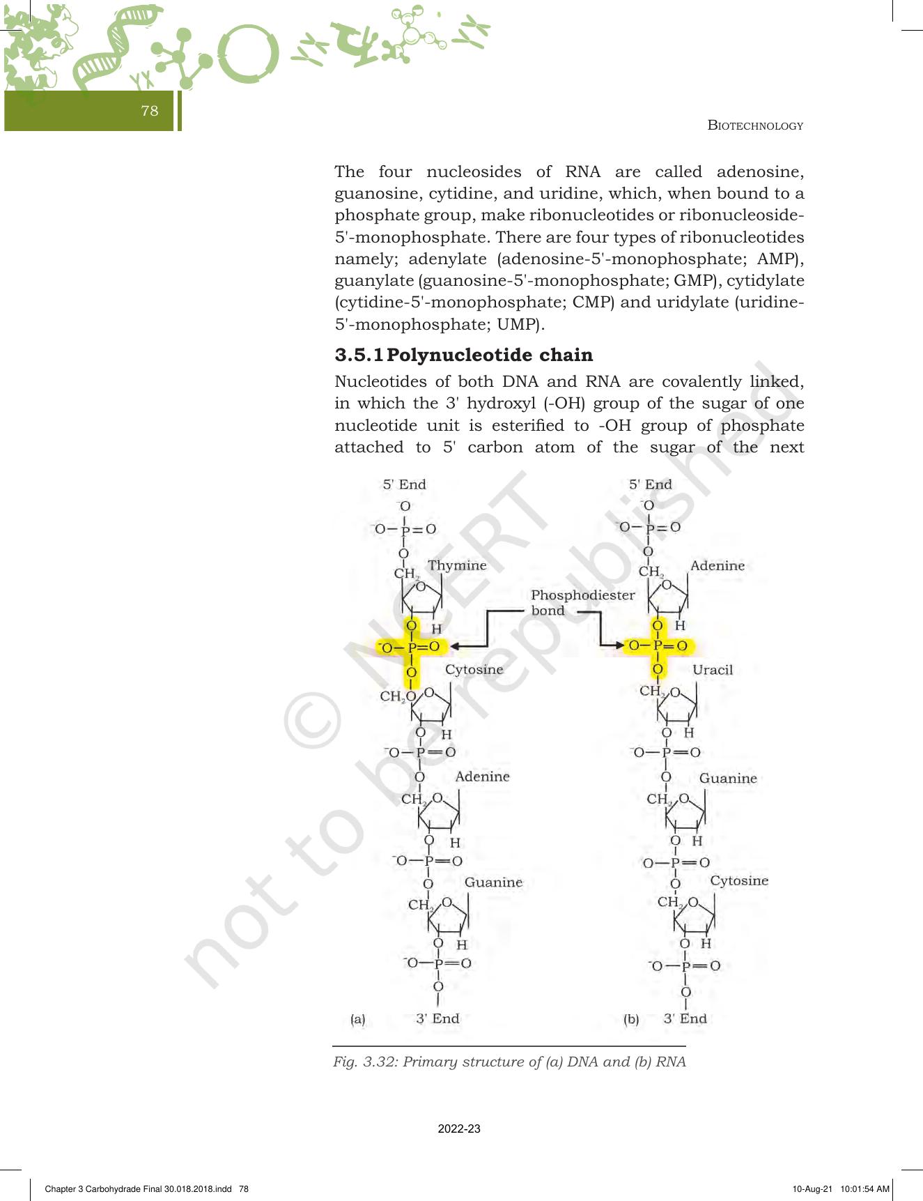 NCERT Book For Class 11 Biotechnology Chapter 3 Biomolecules