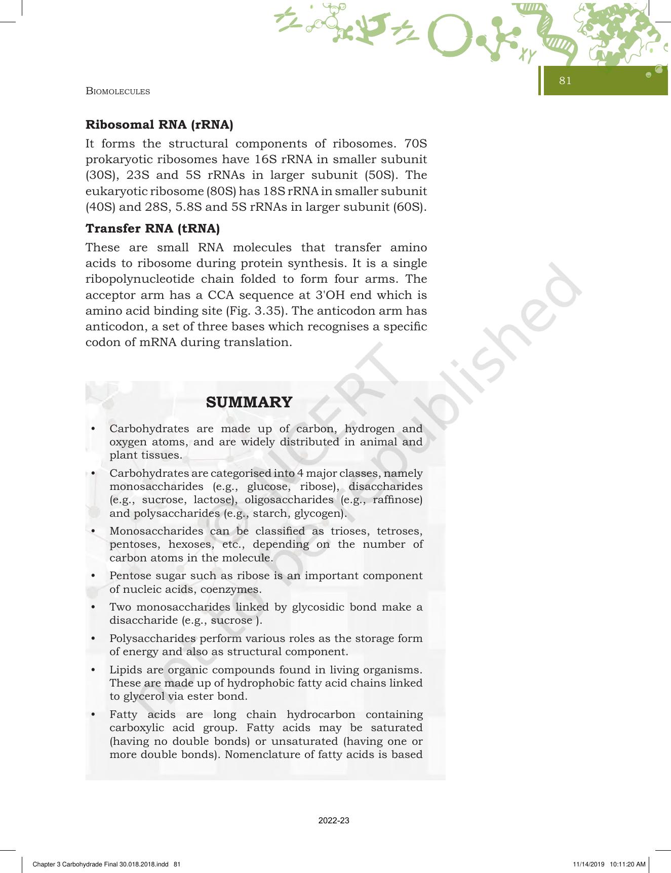 NCERT Book For Class 11 Biotechnology Chapter 3 Biomolecules