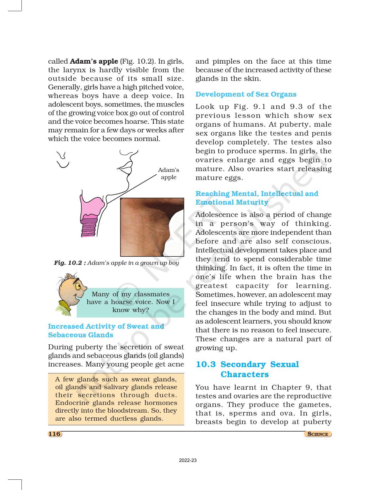 NCERT Book for Class 8 Science Chapter 10 Reaching the Age of Adolescence - Page 4