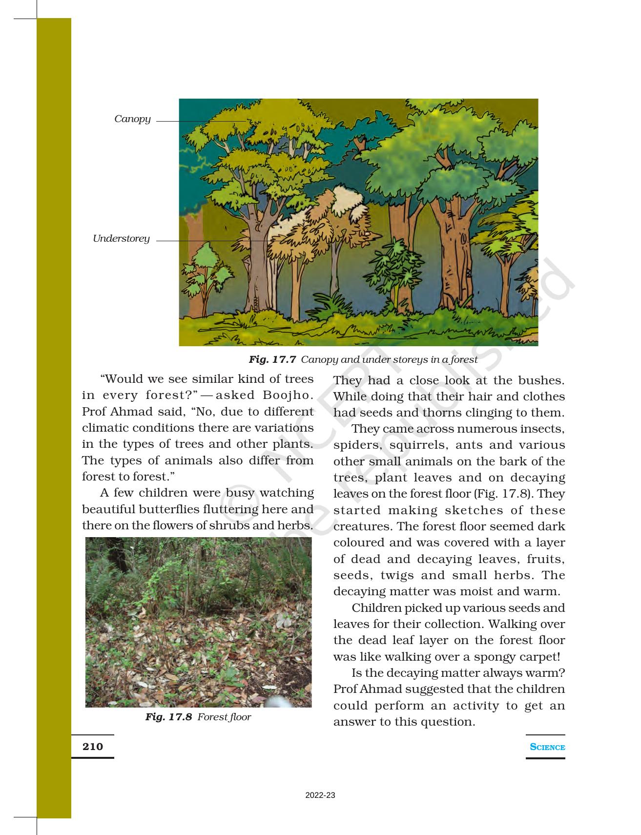 NCERT Book For Class 7 Science: Chapter 17-Forests: Our Lifeline ...