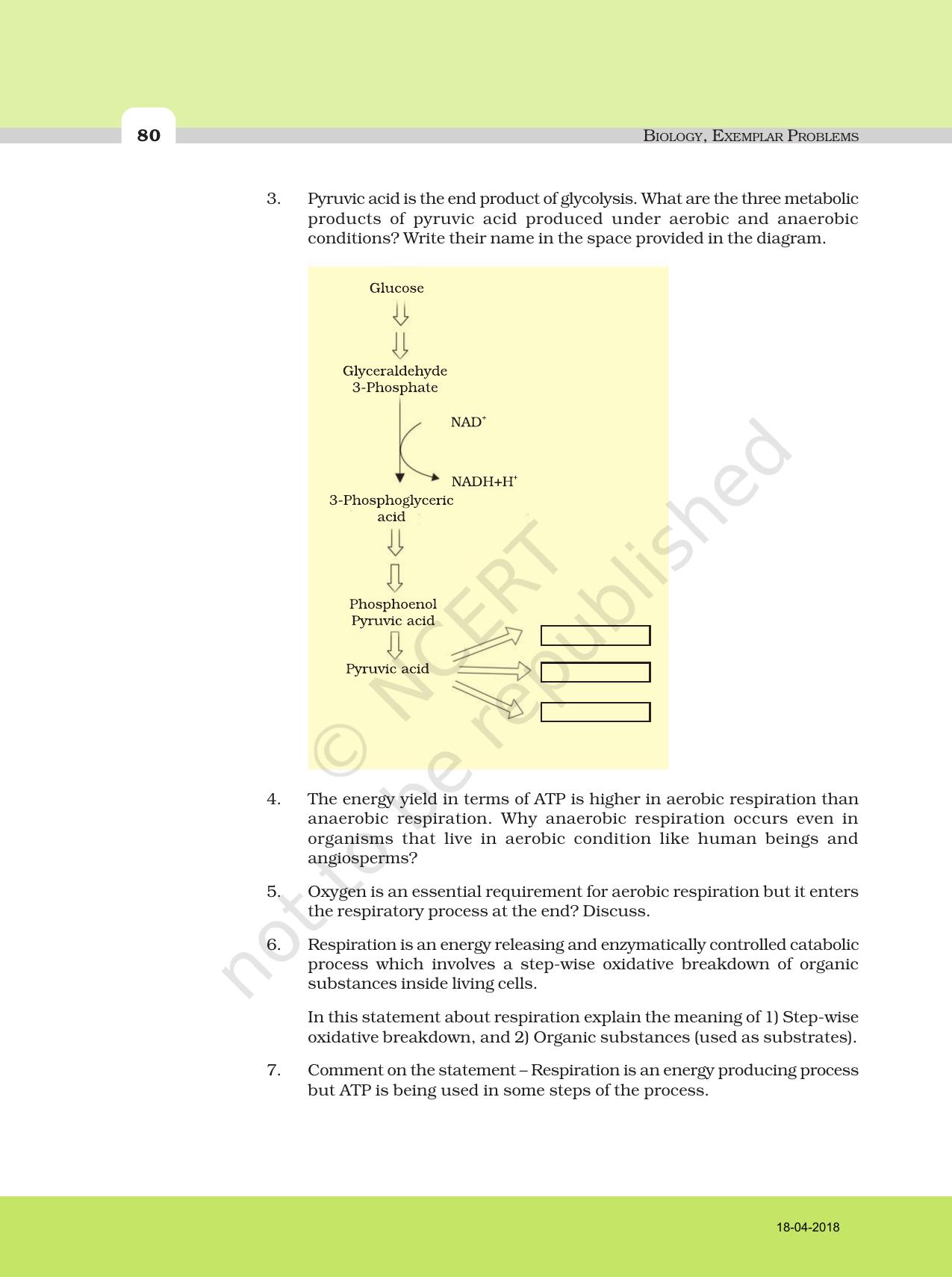 NCERT Exemplar Book For Class 11 Biology Chapter 14 Respiration In Plants