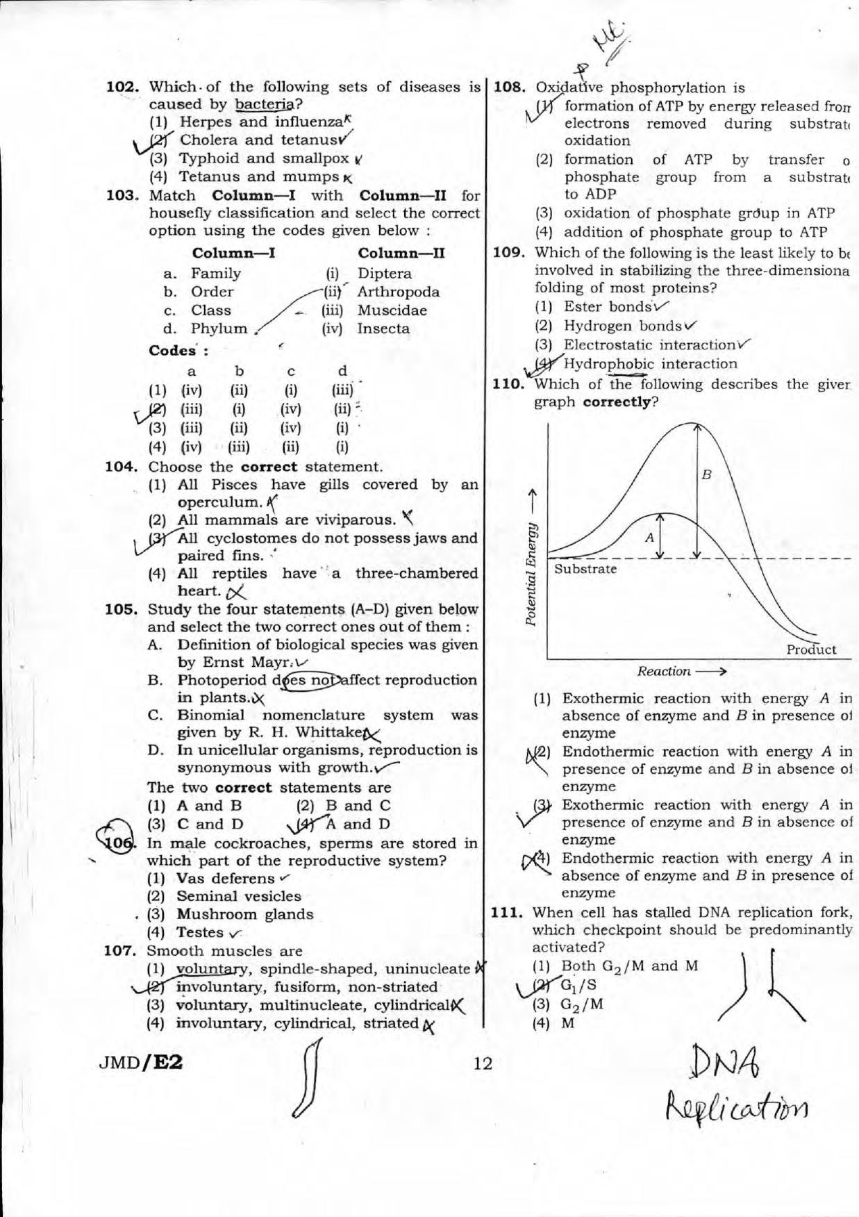 neet-form-documents-required-2023-printable-forms-free-online