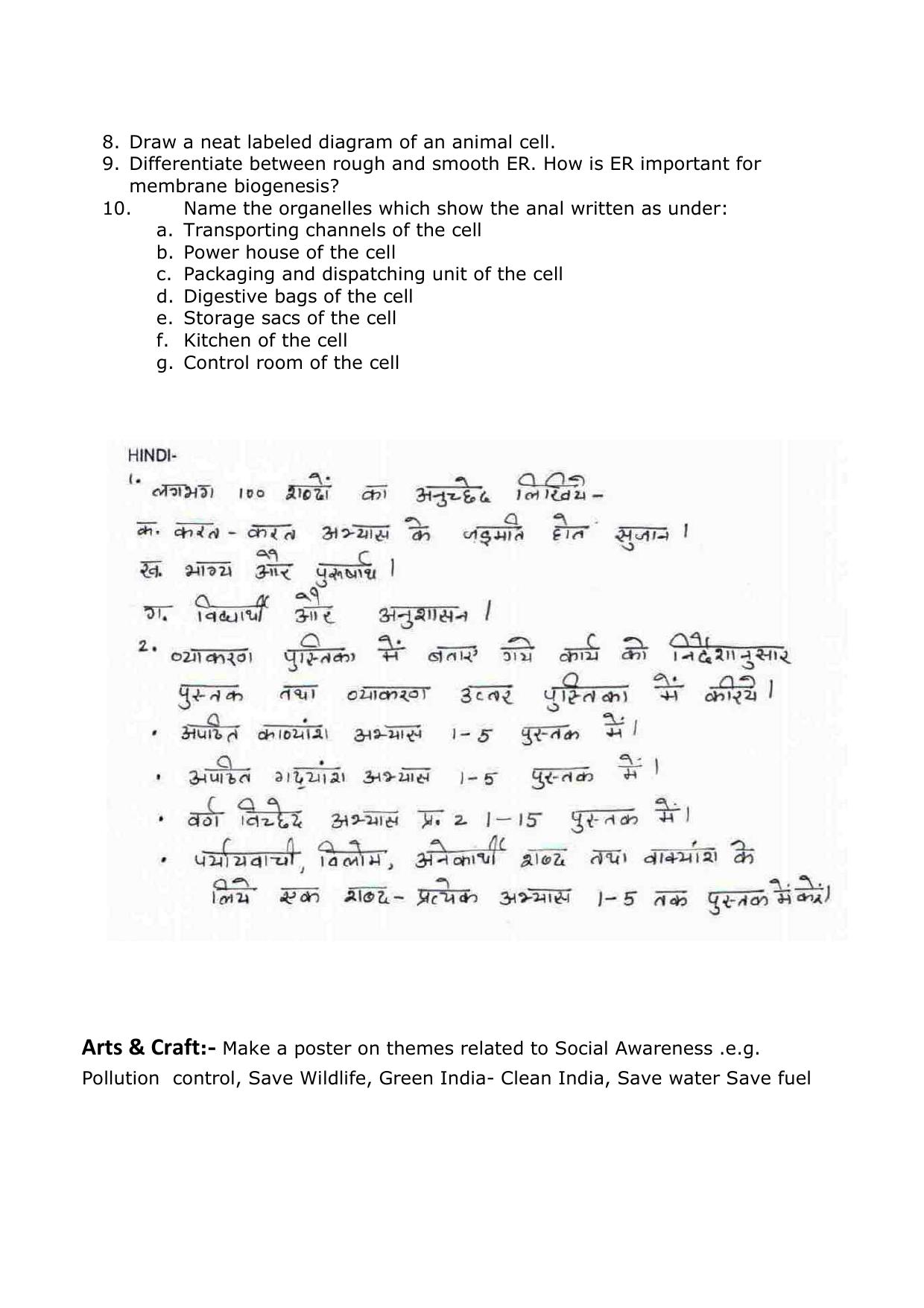 CBSE Worksheets for Class 9 Assignment 6 - Page 6