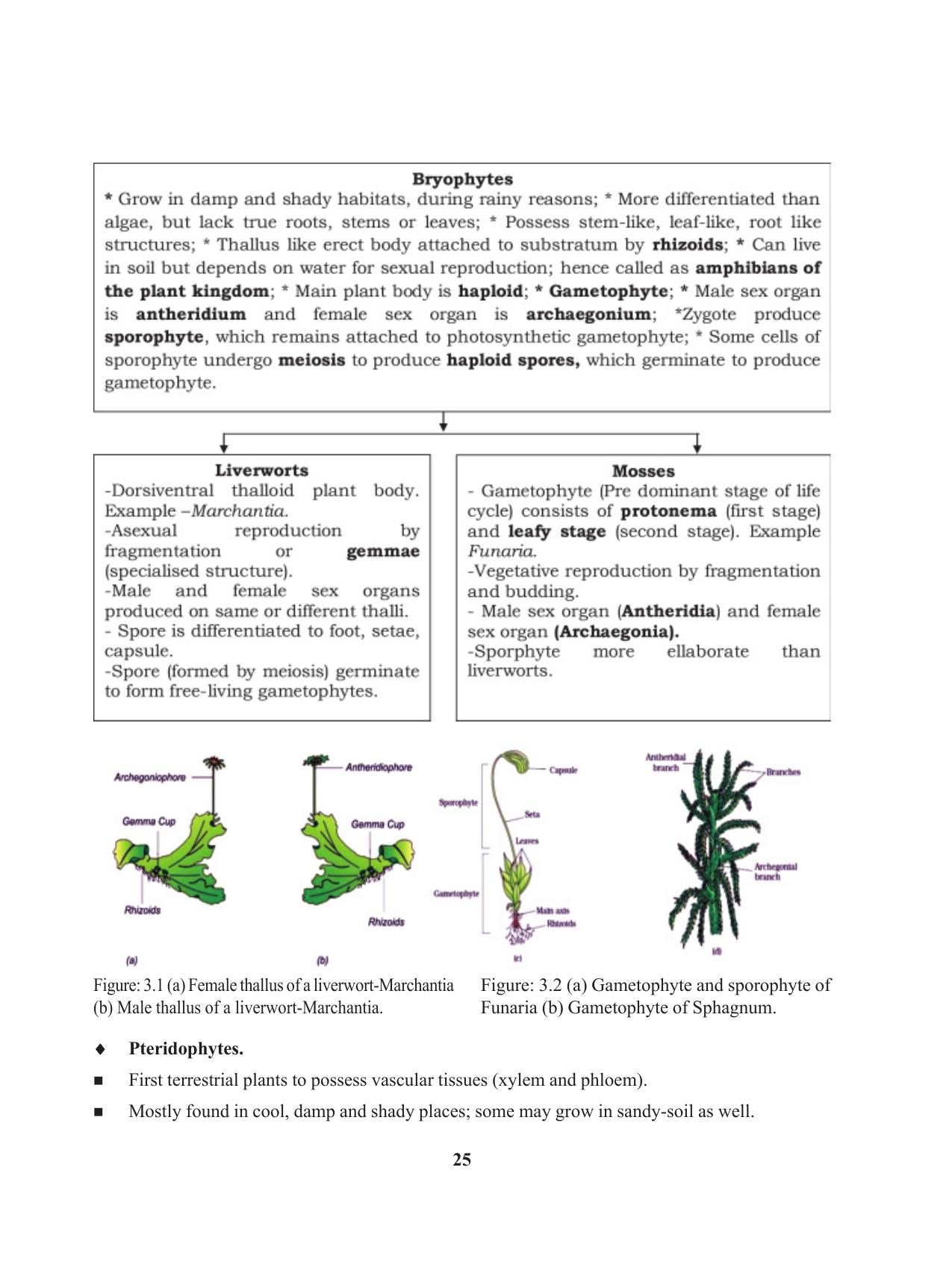 Tripura Board Class 11 Biology English Version Workbooks - Page 25