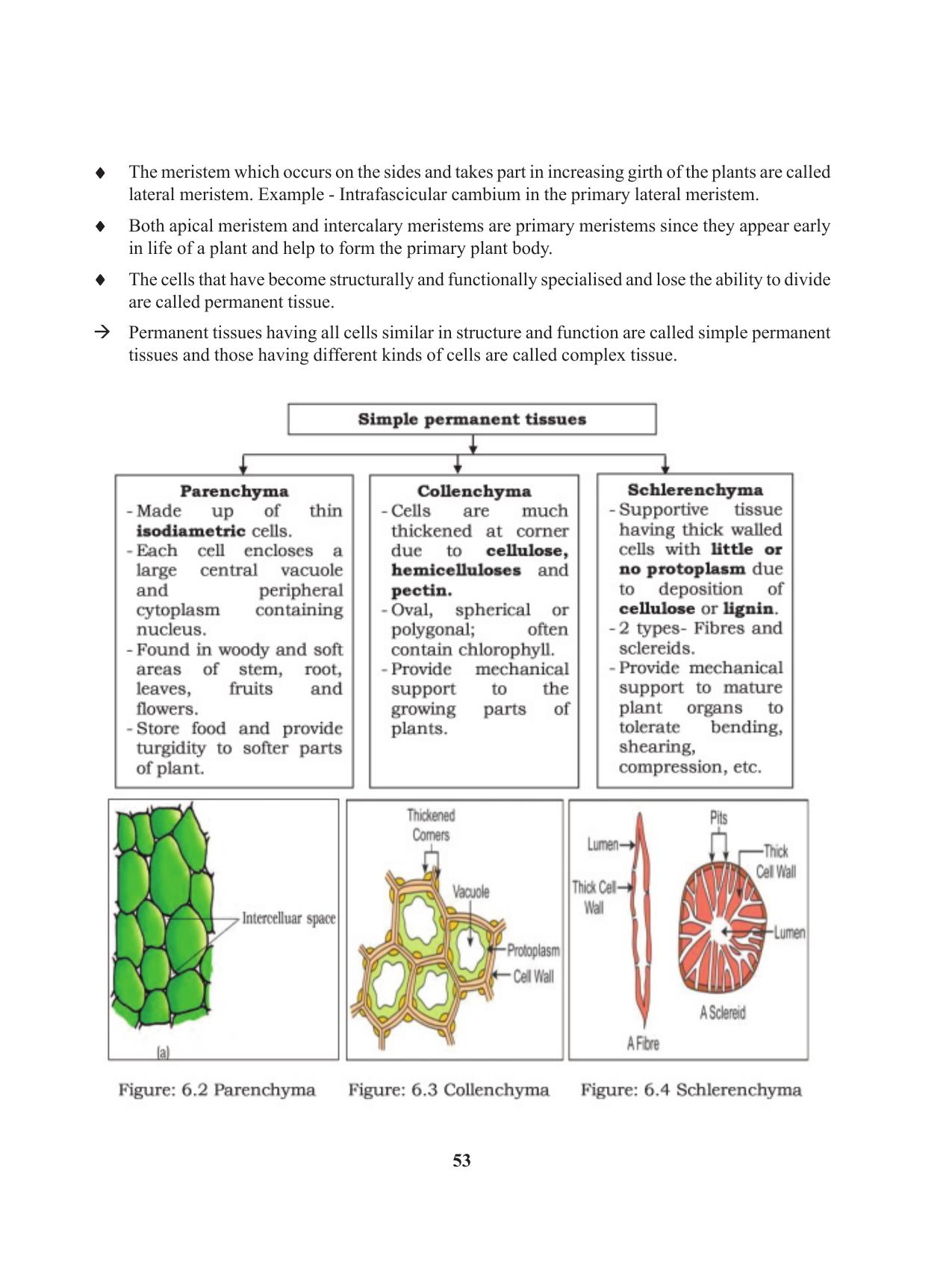 Tripura Board Class 11 Biology English Version Workbooks - Page 53