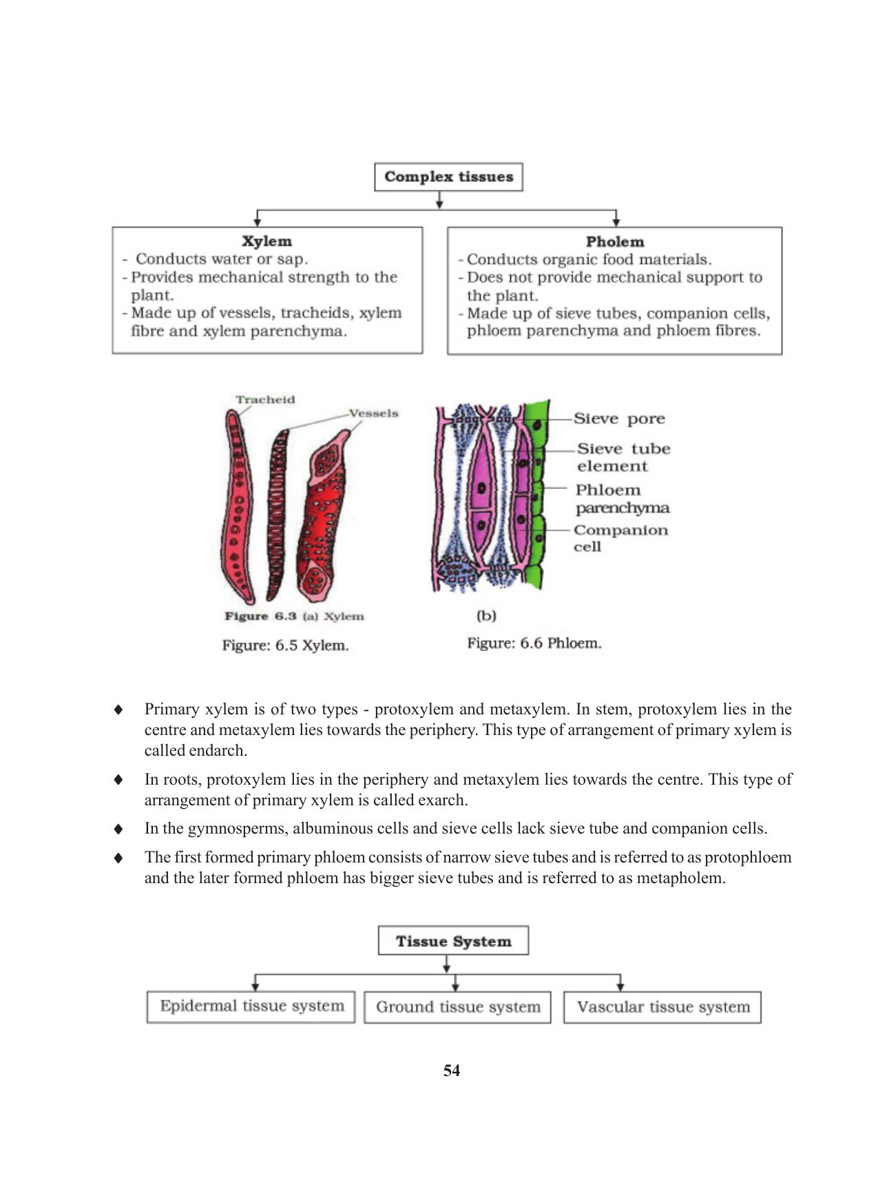 Tripura Board Class 11 Biology English Version Workbooks - Page 54