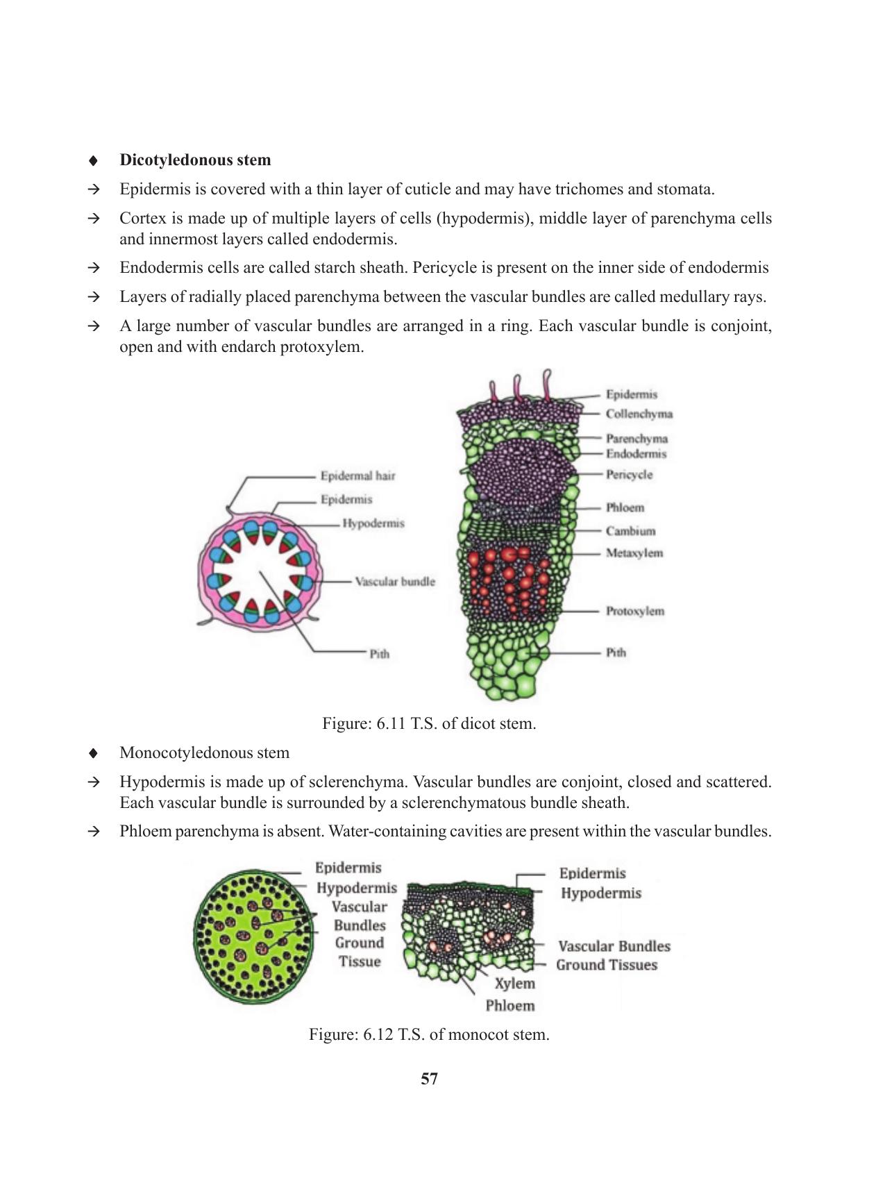 Tripura Board Class 11 Biology English Version Workbooks - Page 57