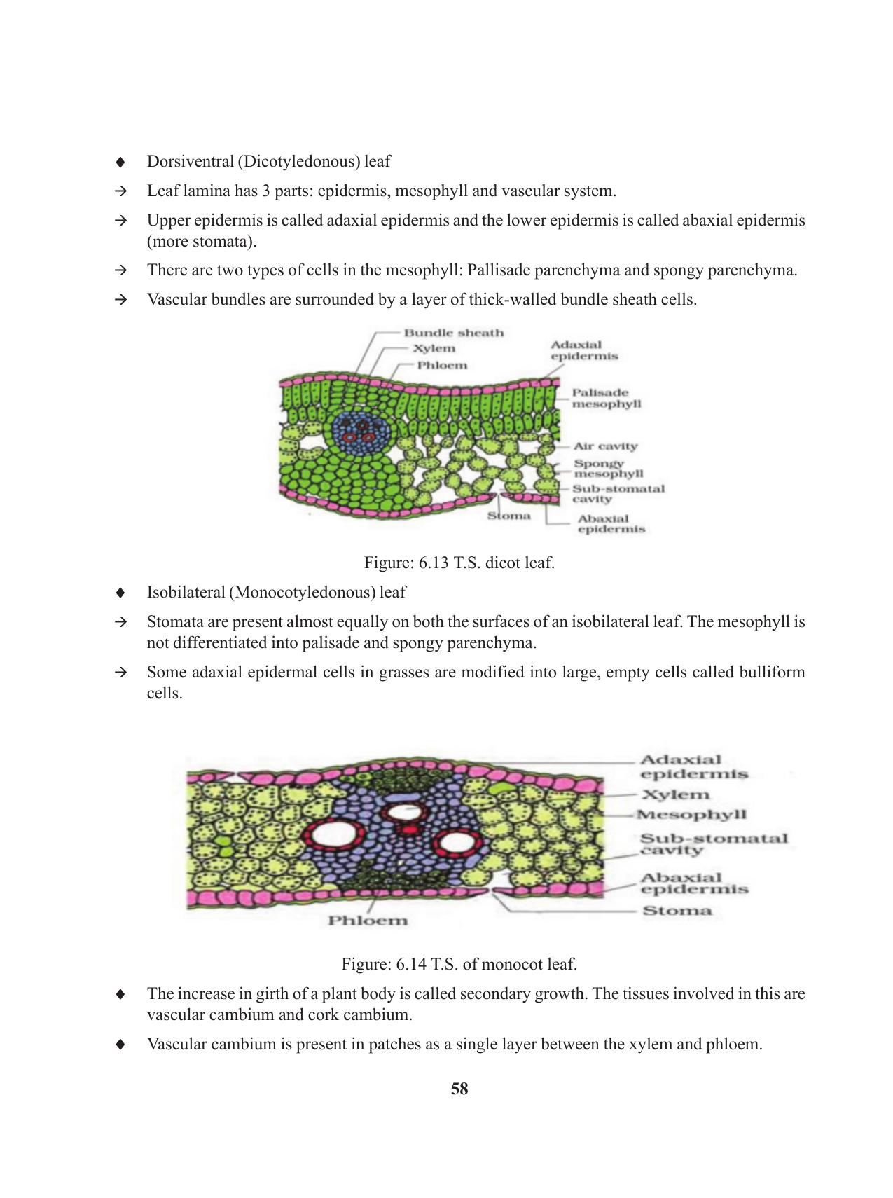 Tripura Board Class 11 Biology English Version Workbooks - Page 58