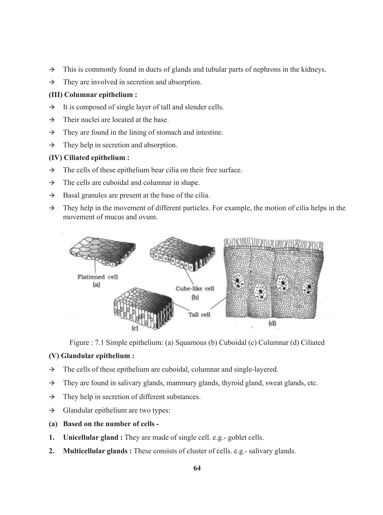 Tripura Board Class 11 Biology English Version Workbooks - Page 64