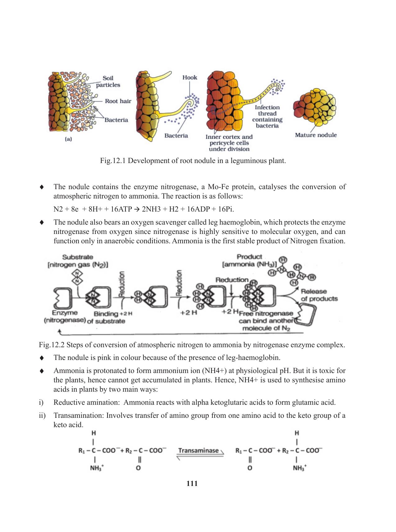 Tripura Board Class 11 Biology English Version Workbooks - Page 111