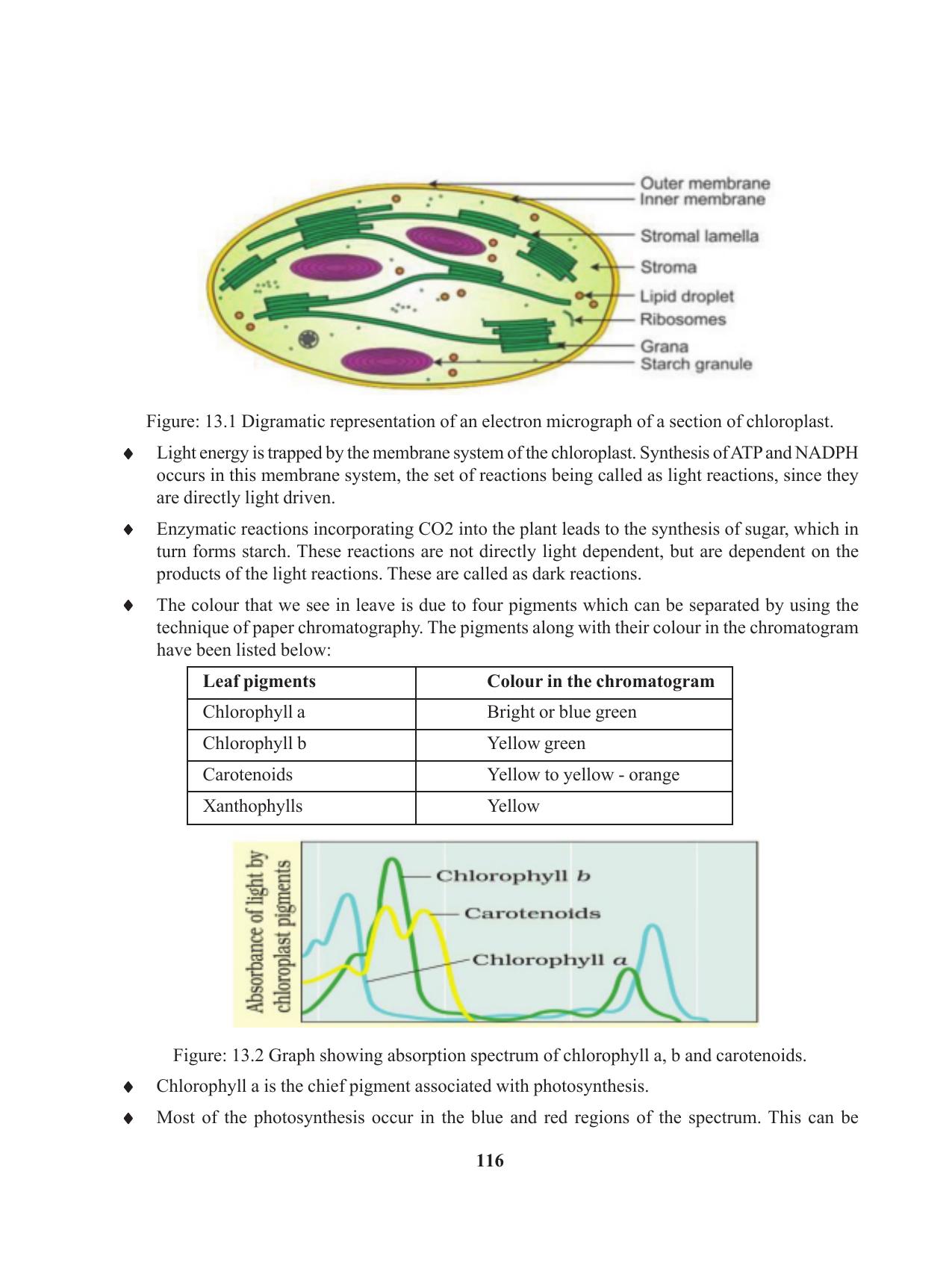 Tripura Board Class 11 Biology English Version Workbooks - Page 116