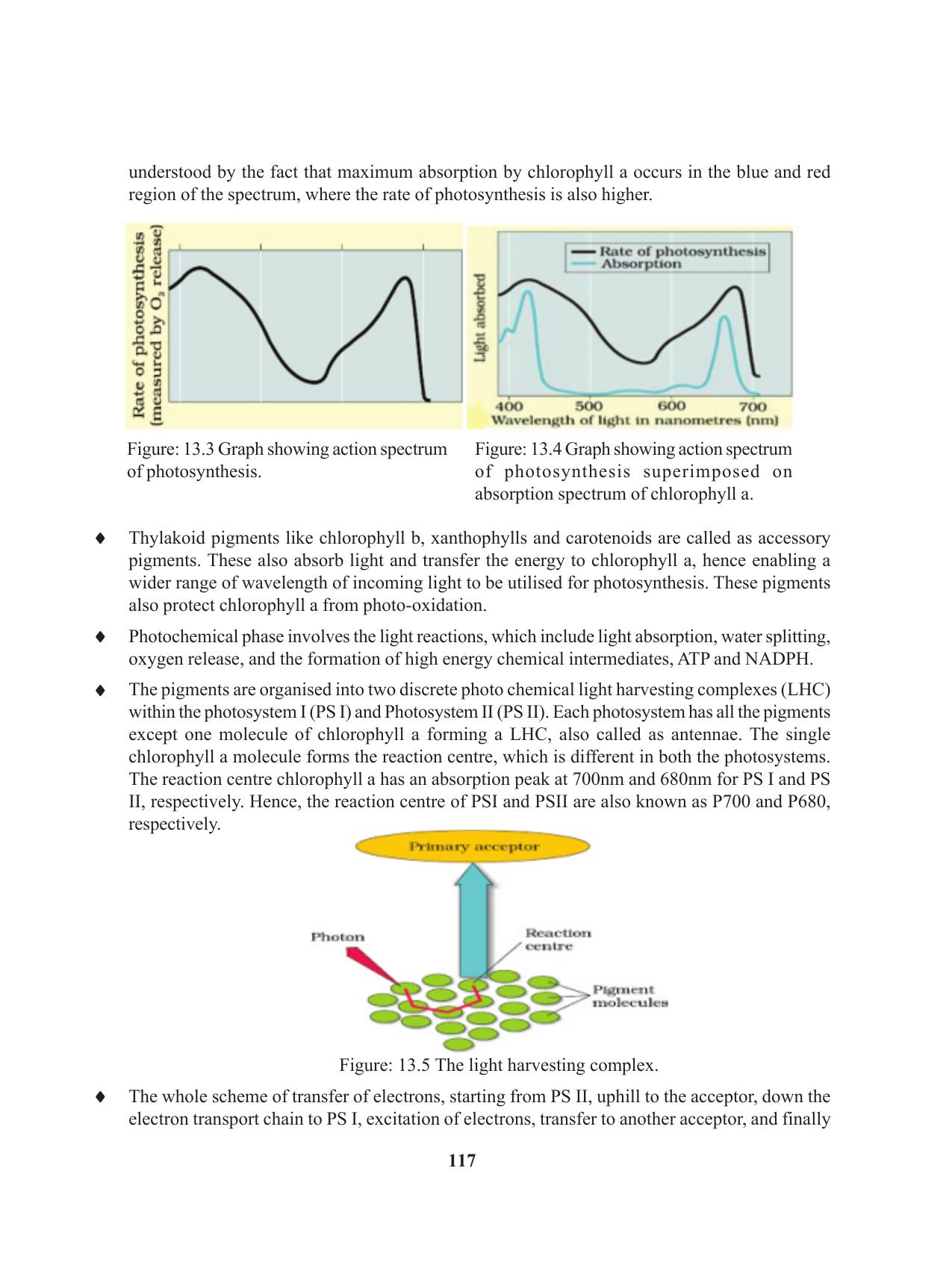 Tripura Board Class 11 Biology English Version Workbooks - Page 117