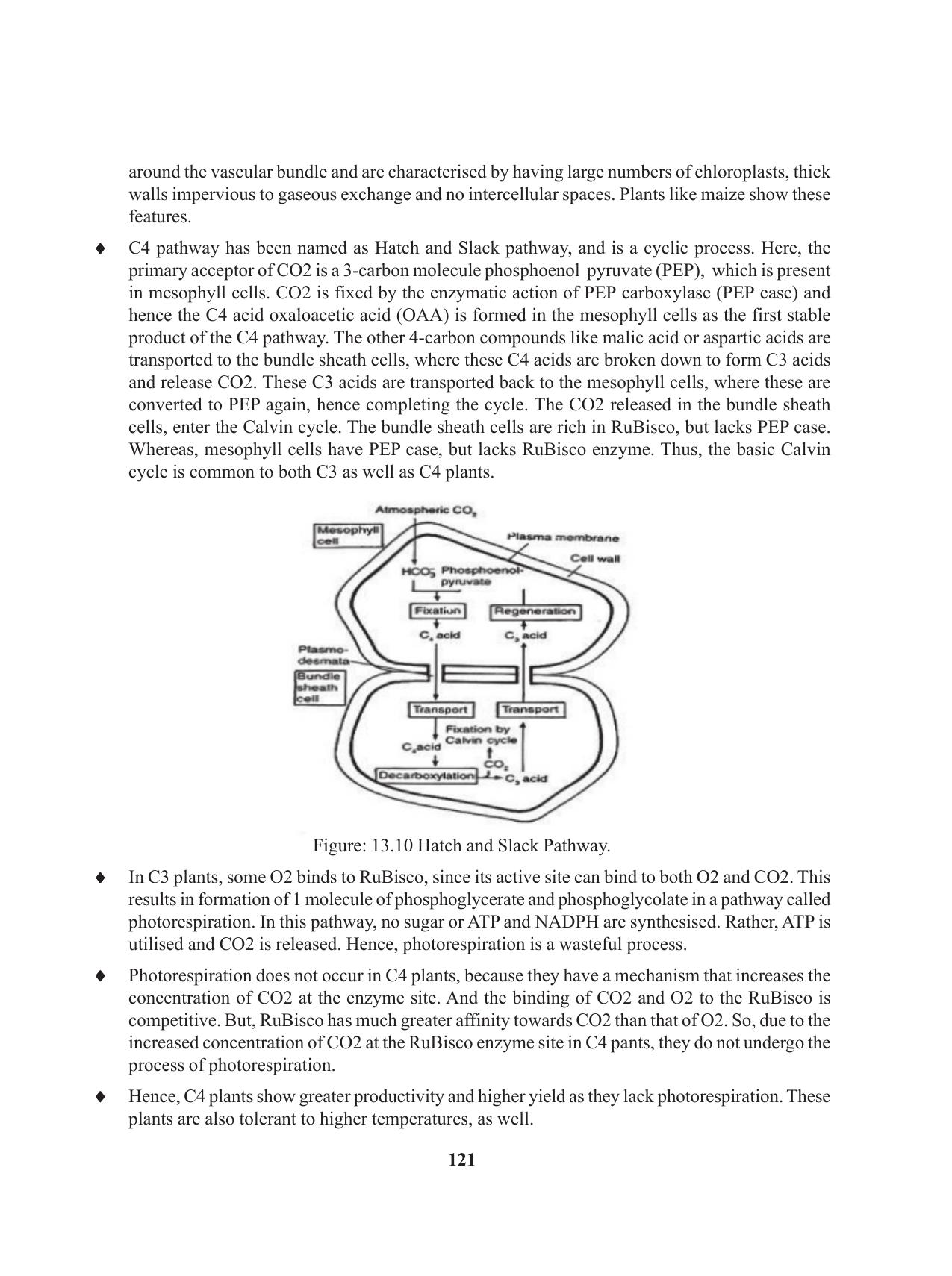 Tripura Board Class 11 Biology English Version Workbooks - Page 121