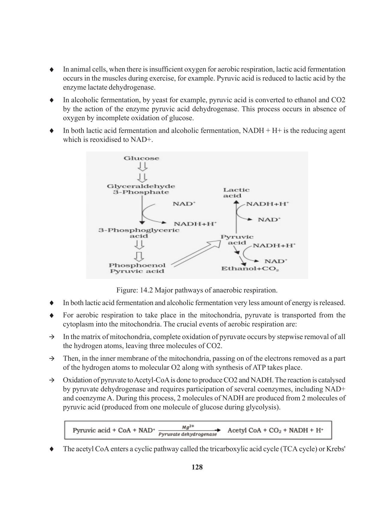 Tripura Board Class 11 Biology English Version Workbooks - Page 128