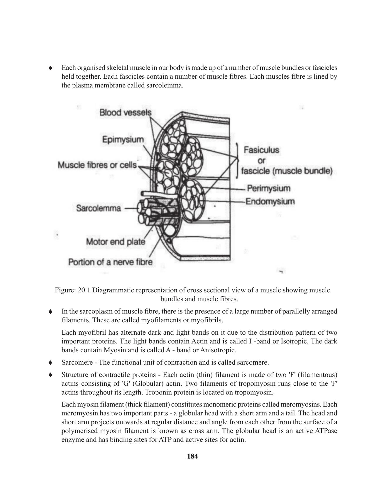 Tripura Board Class 11 Biology English Version Workbooks - Page 184