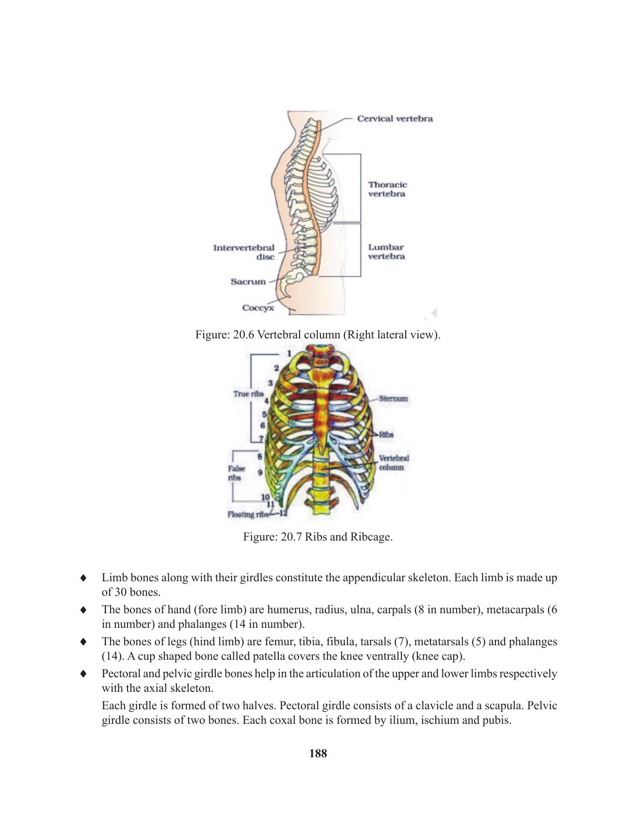 Tripura Board Class 11 Biology English Version Workbooks - Page 188