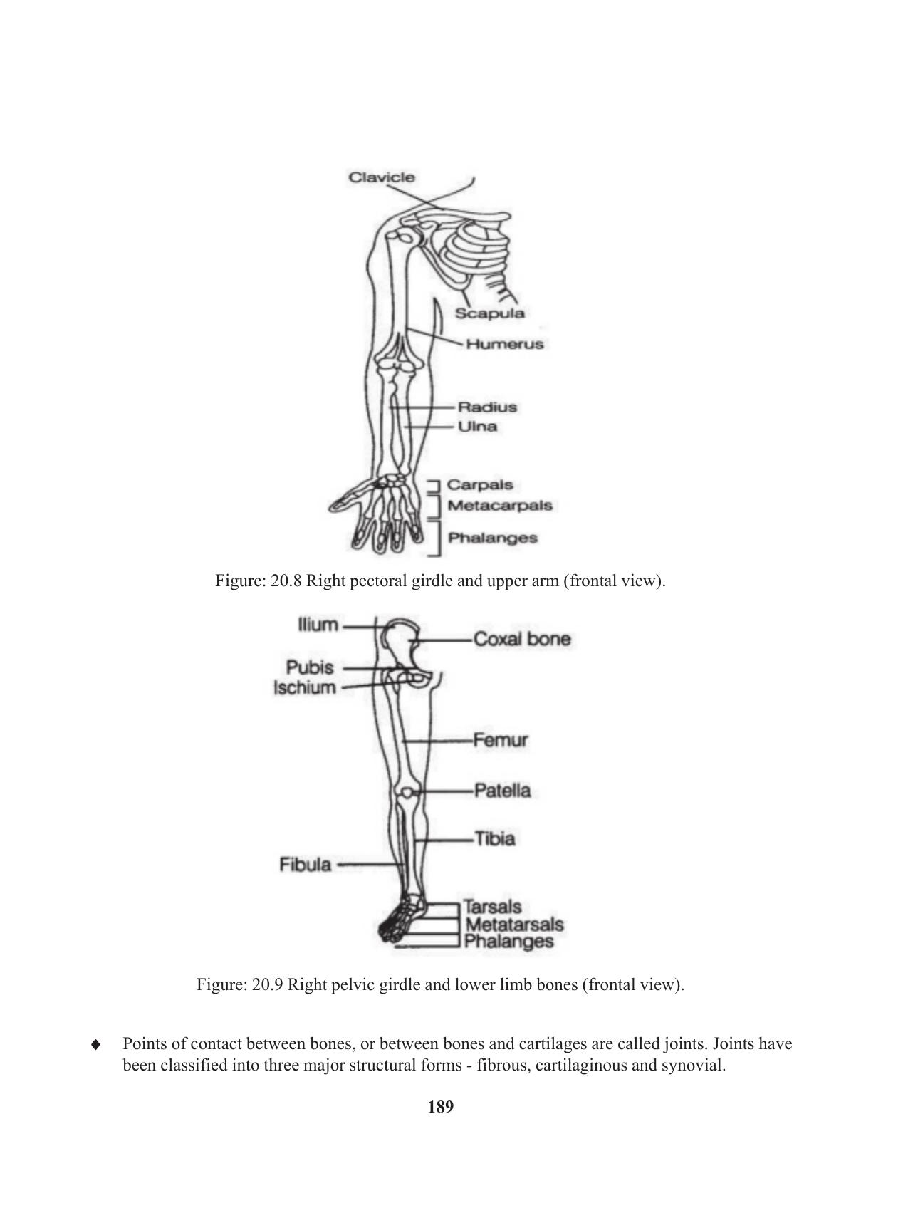 Tripura Board Class 11 Biology English Version Workbooks - Page 189