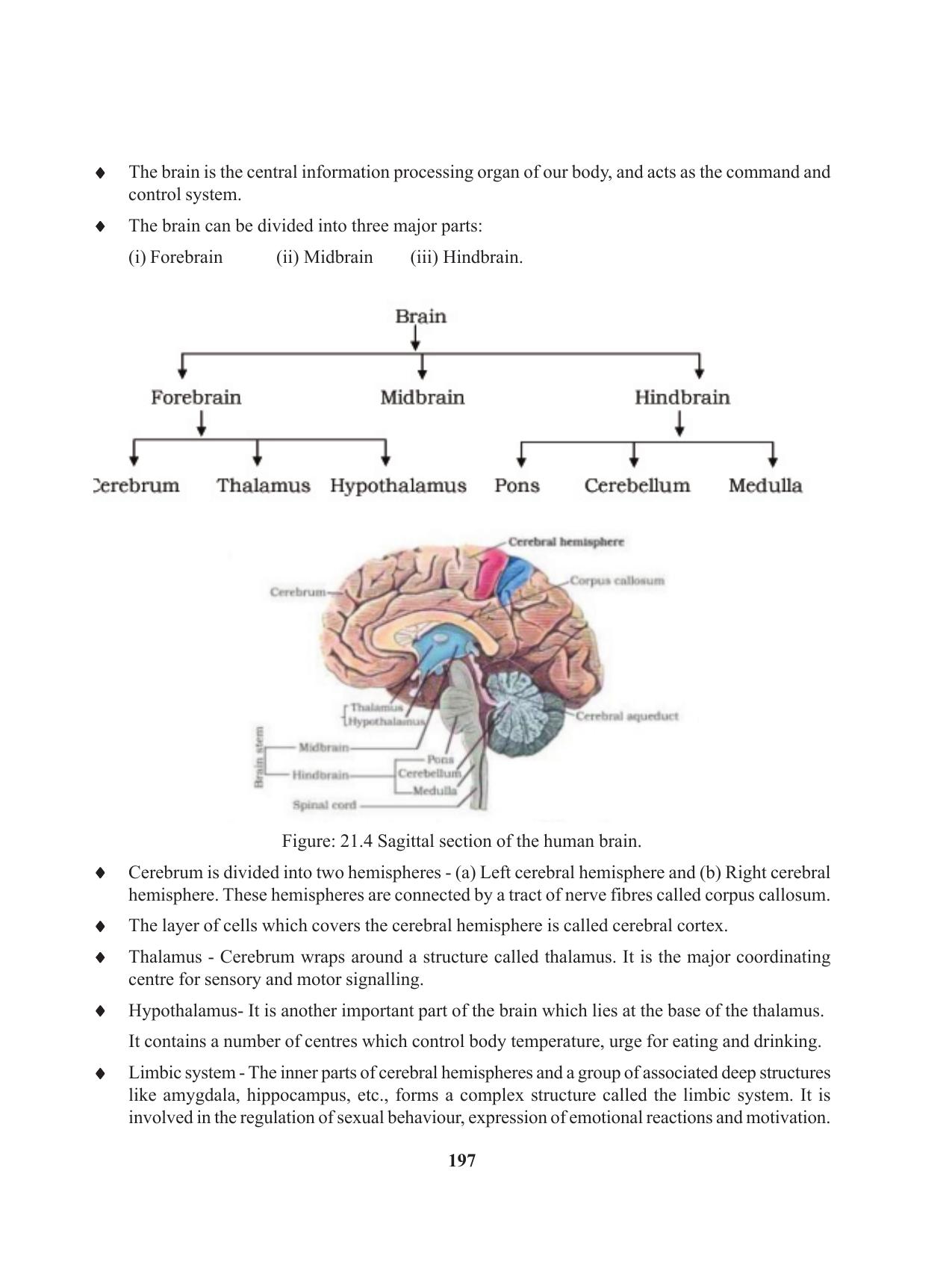 Tripura Board Class 11 Biology English Version Workbooks - Page 197