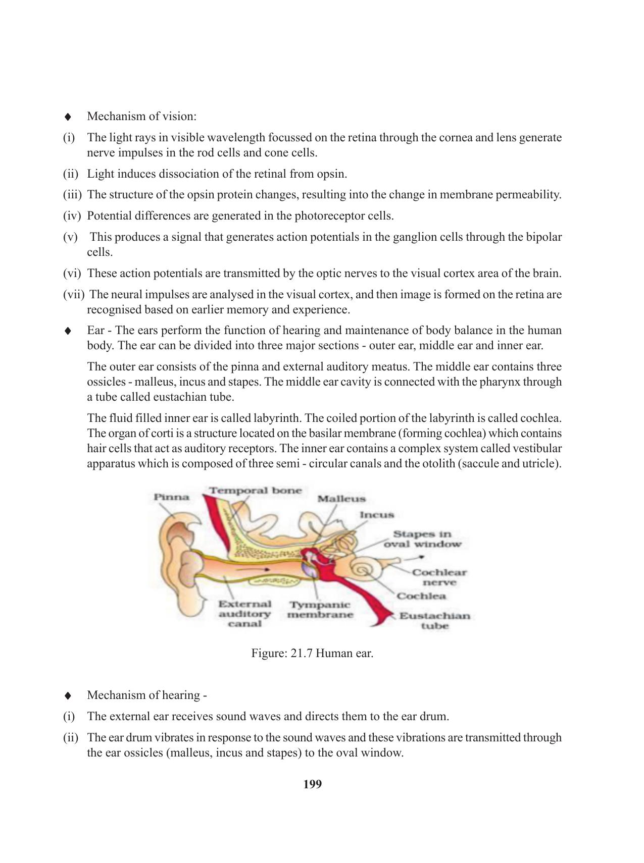 Tripura Board Class 11 Biology English Version Workbooks - Page 199