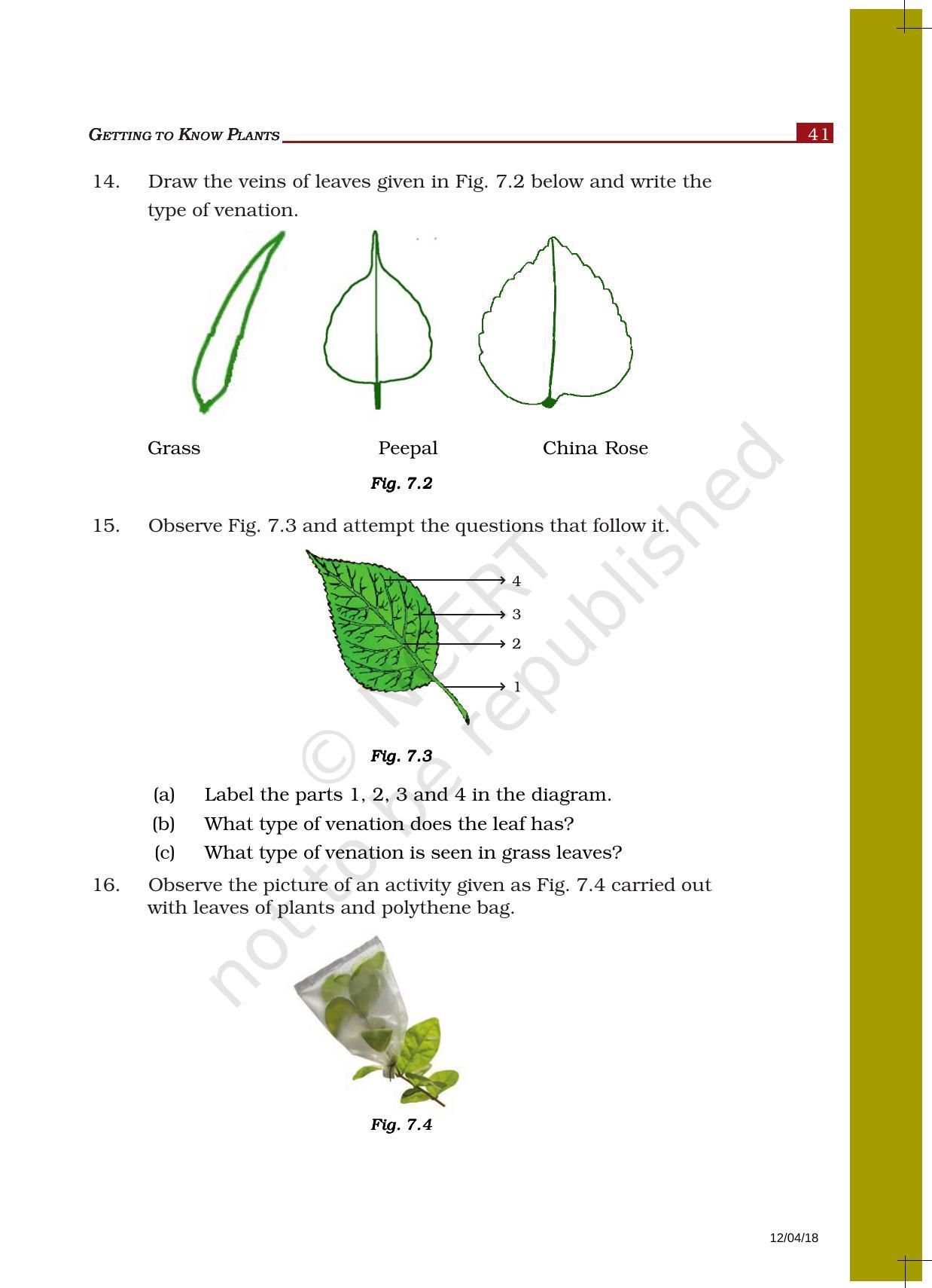 NCERT Exemplar Book For Class 6 Science Chapter 7-Getting To Know Plants