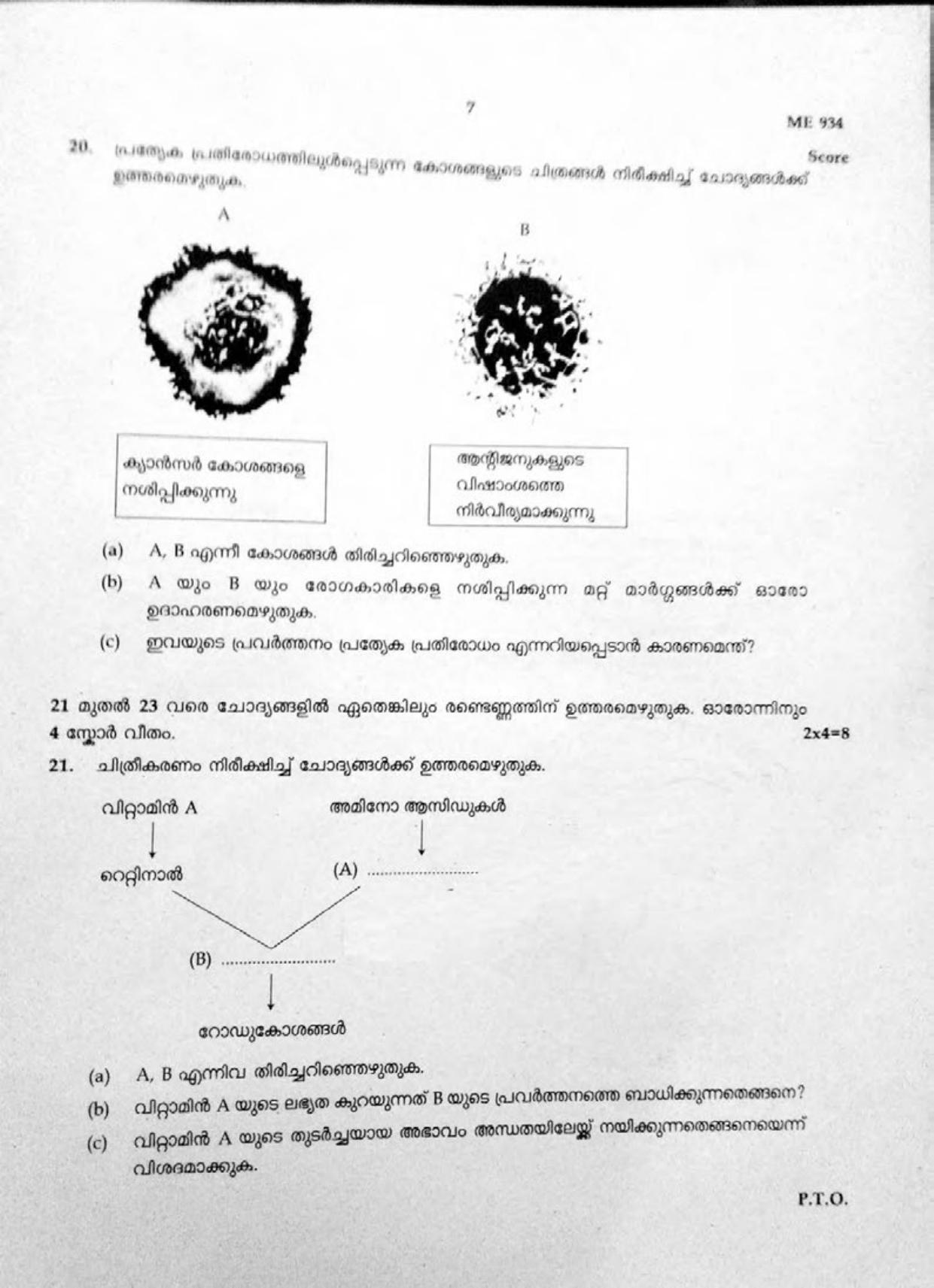 Kerala SSLC 2019  Biology Question Paper (MM) (Model) - Page 7