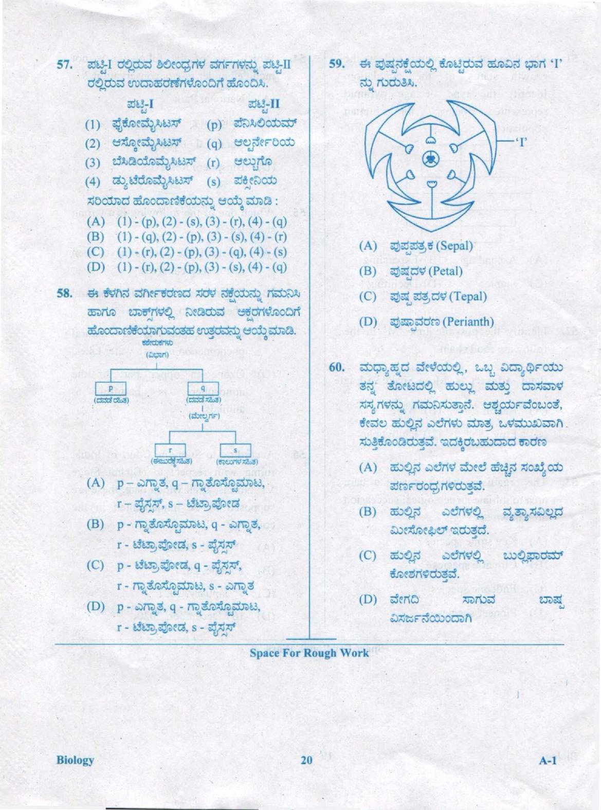 KCET Biology 2020 Question Papers - Page 20