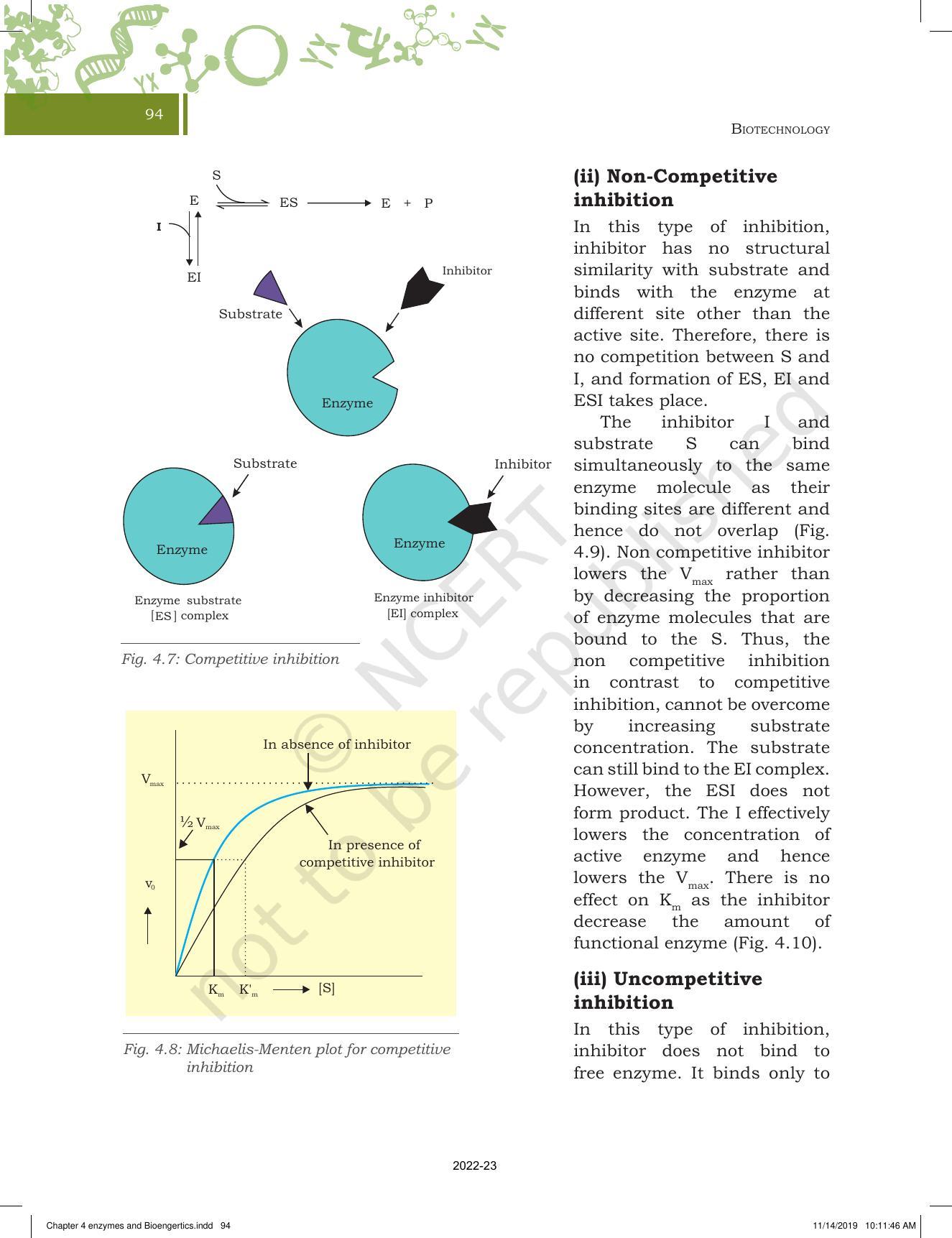 NCERT Book For Class 11 Biotechnology Chapter 4 Enzymes And Bioenergetics