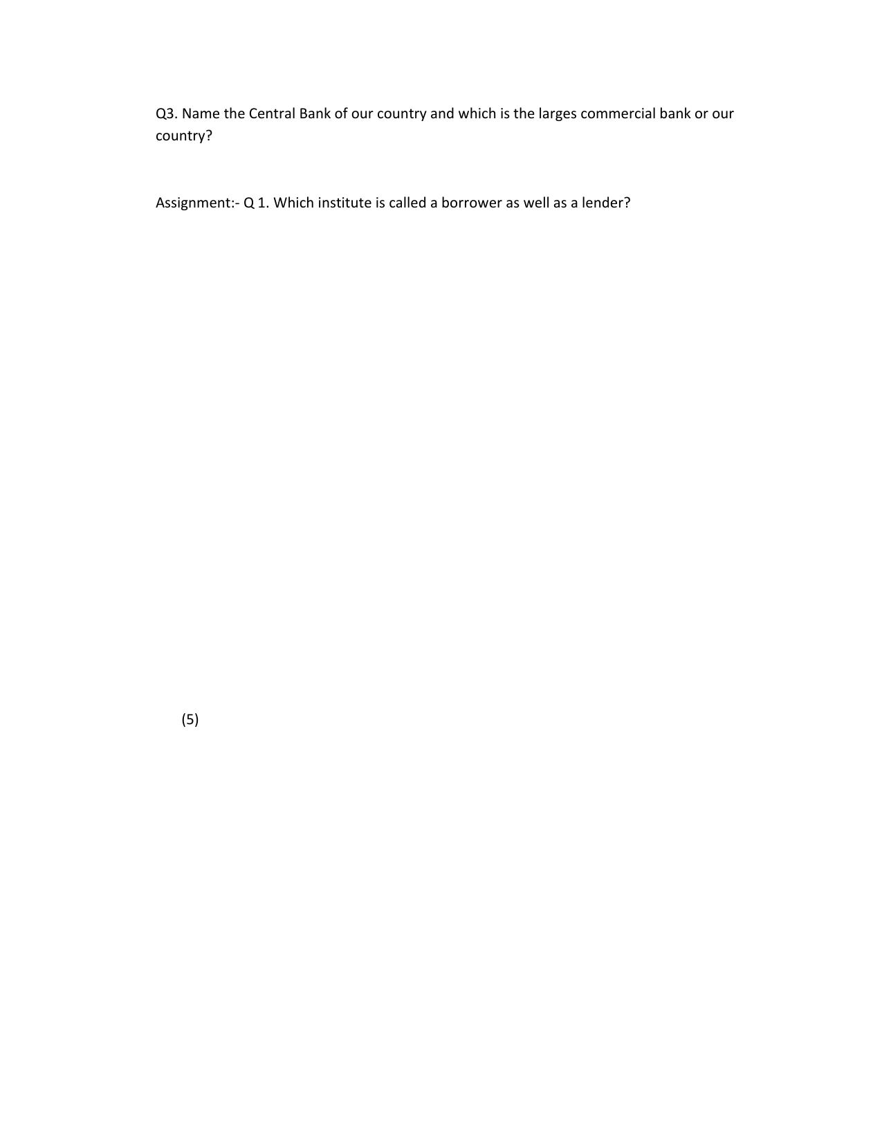 CBSE Worksheets for Class 11 Business Studies Types of Business Services Assignment - Page 2