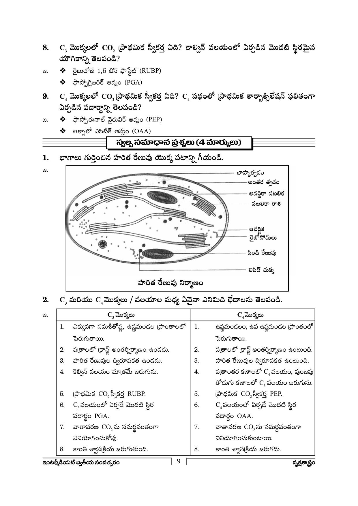 TS SCERT Inter 2nd Year Botany Path 1 (Telugu Medium) Text Book - Page 10