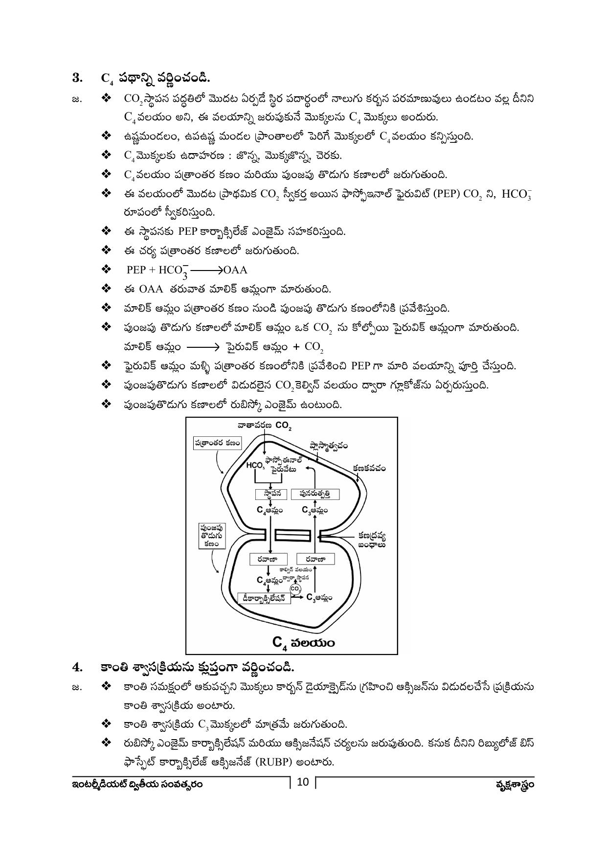 TS SCERT Inter 2nd Year Botany Path 1 (Telugu Medium) Text Book - Page 11